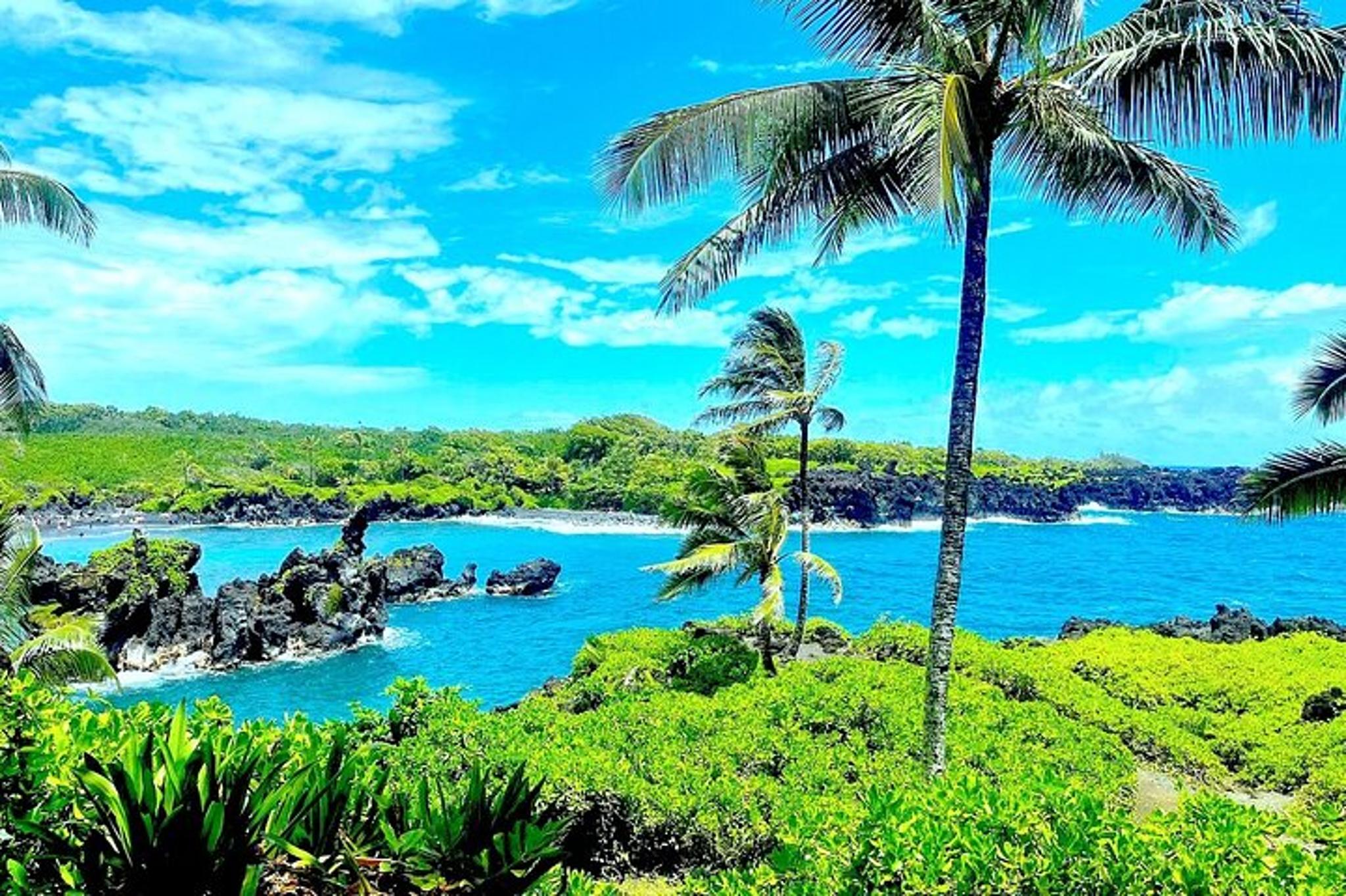 Hana Rainforest Tour - Image 5