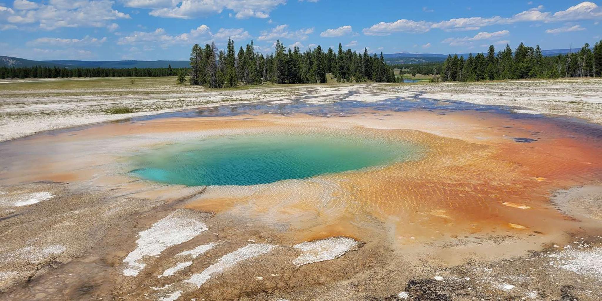 Yellowstone National Park Private Day Tour