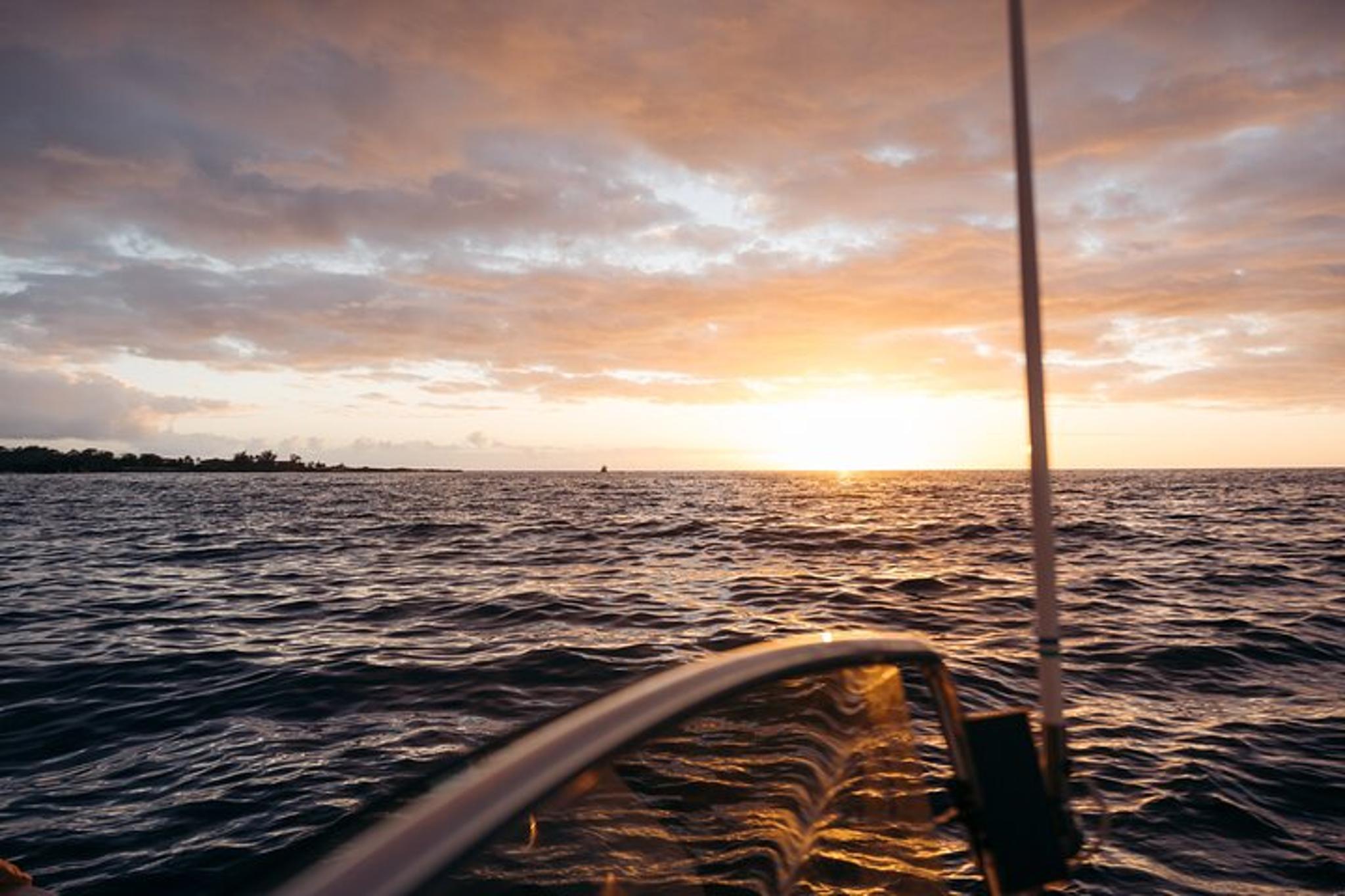 Kona Manta Ray Night Snorkel Adventure 2.5 hr - Image 4