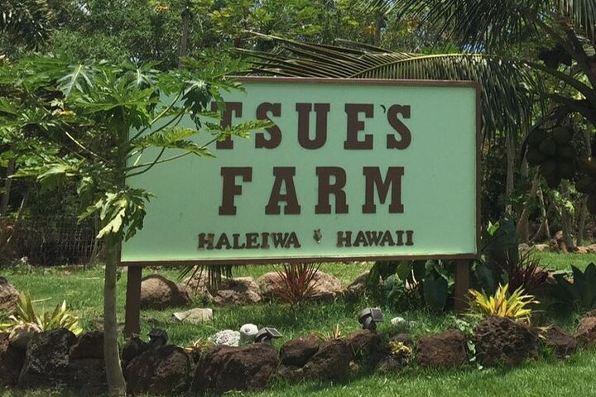 Oahu Private Tour - Image 6