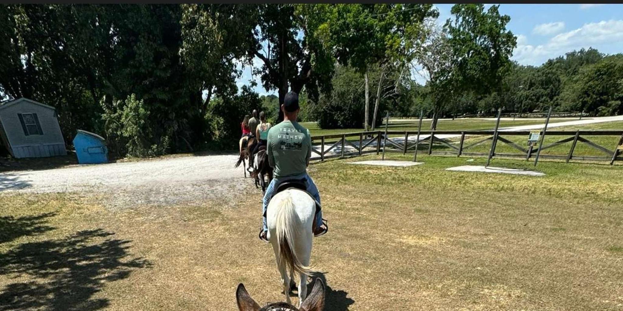 Miami Horseback Riding Tour - Image 2