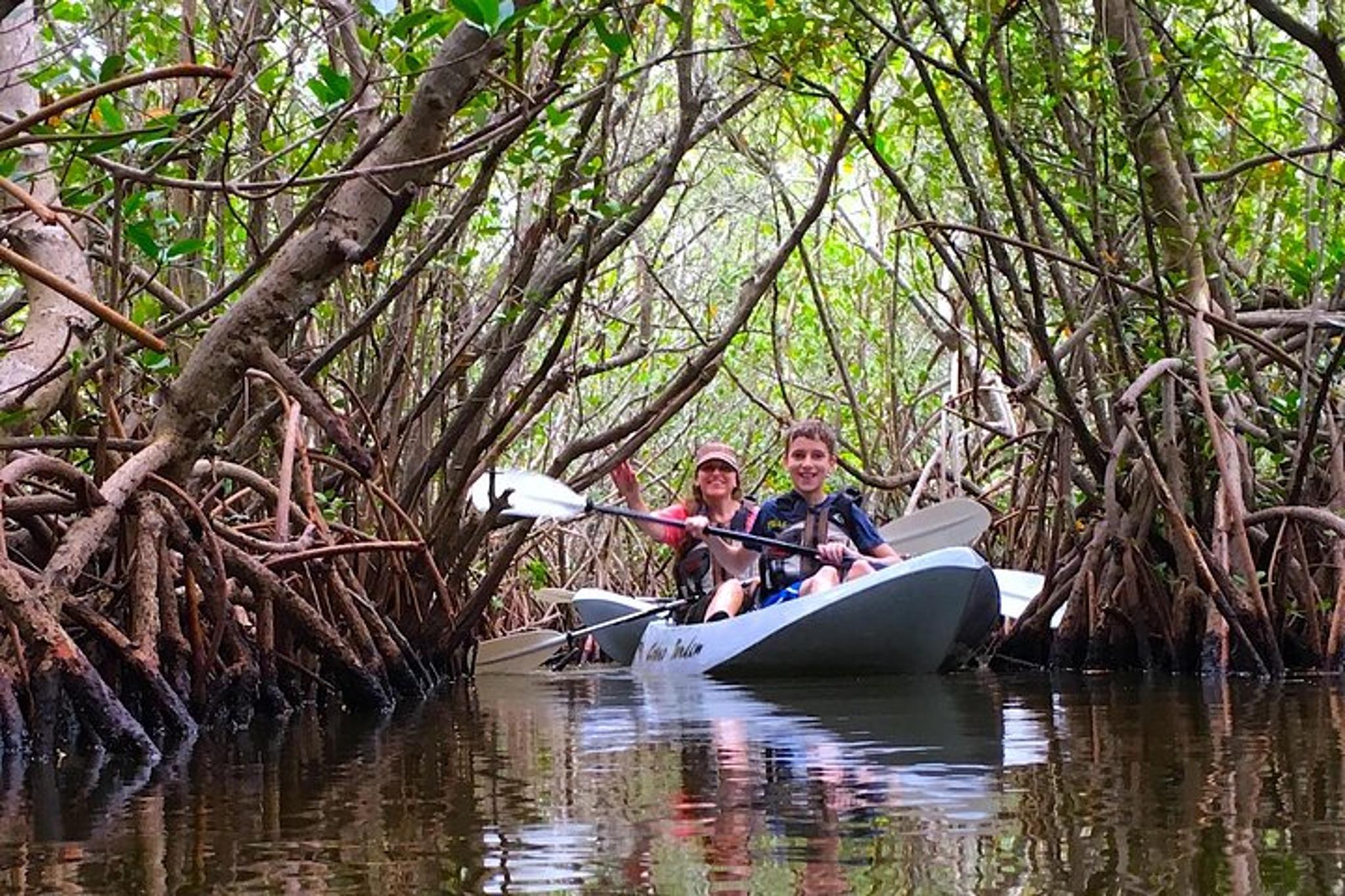 Cocoa Beach Mangrove Kayak Tour at Sunset - Image 4