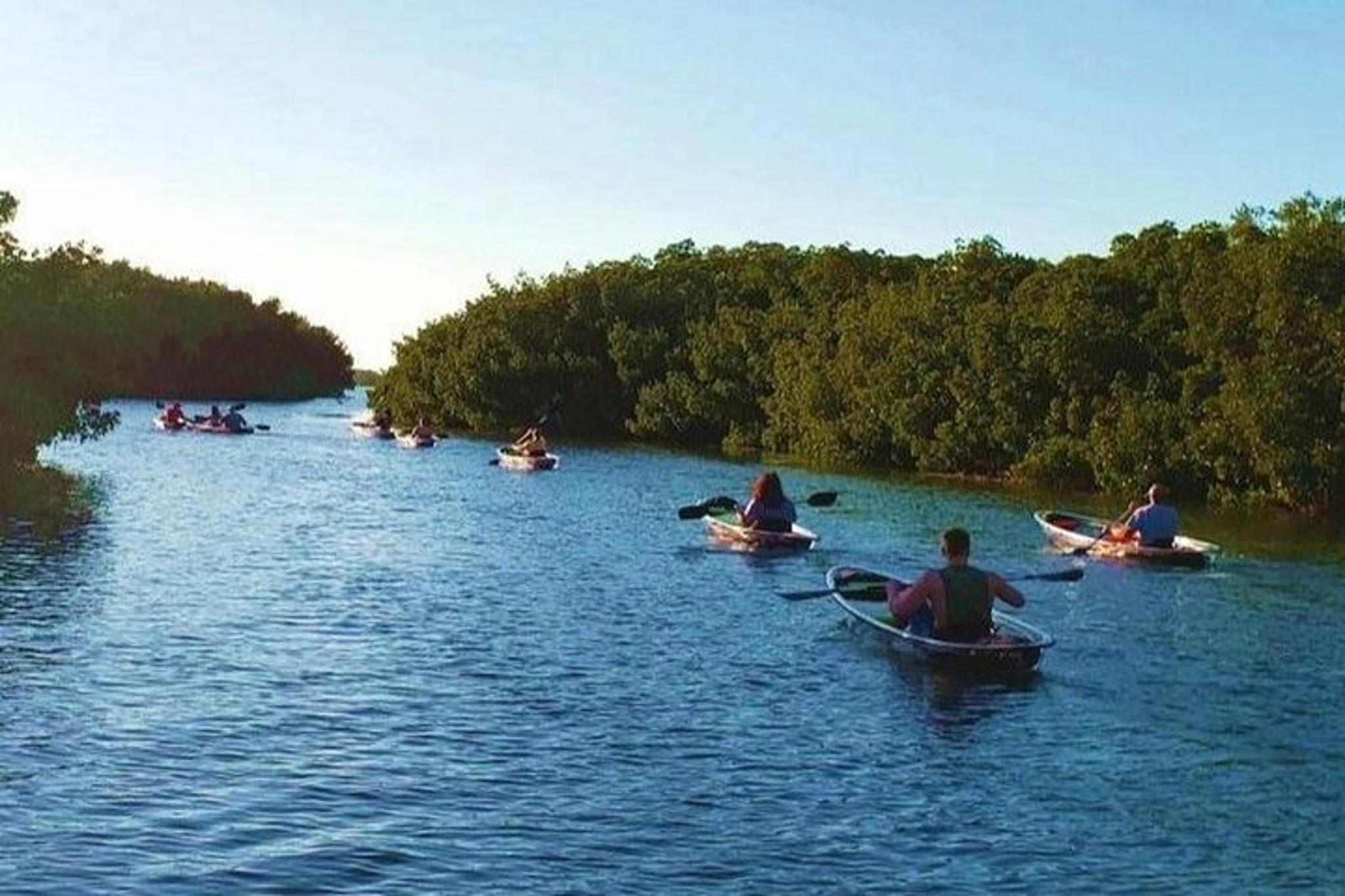 St Pete Clear Kayak Tour in Shell Key - Image 4