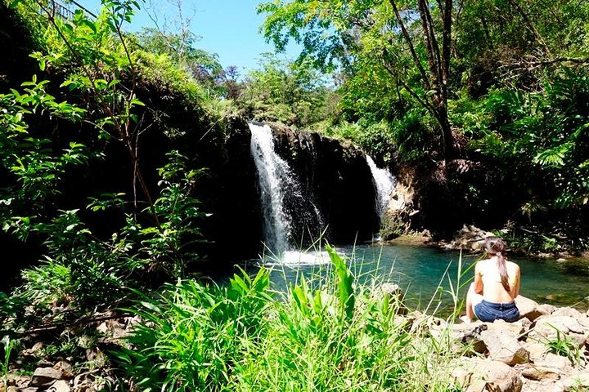 Maui Road to Hana Tour in Mercedes Van - Image 1