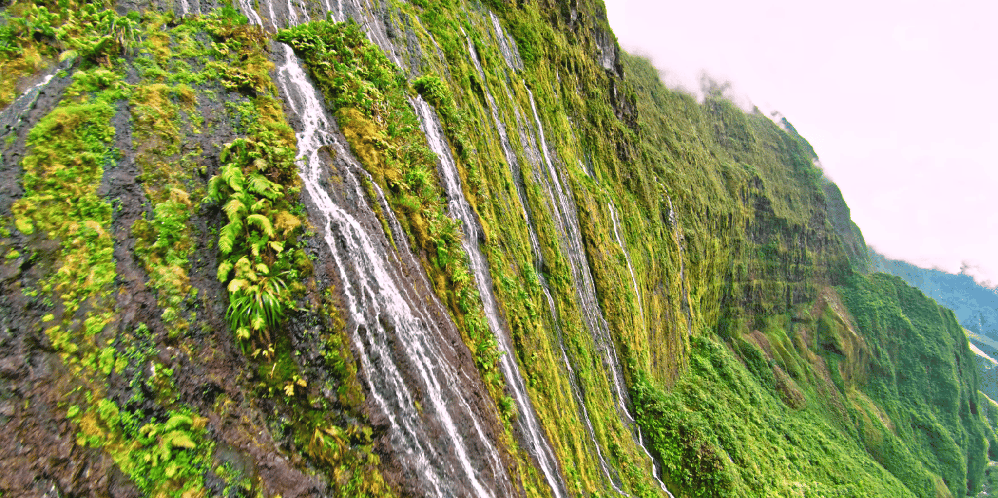 Kona Flight of Aloha Aerial Experience - Image 5