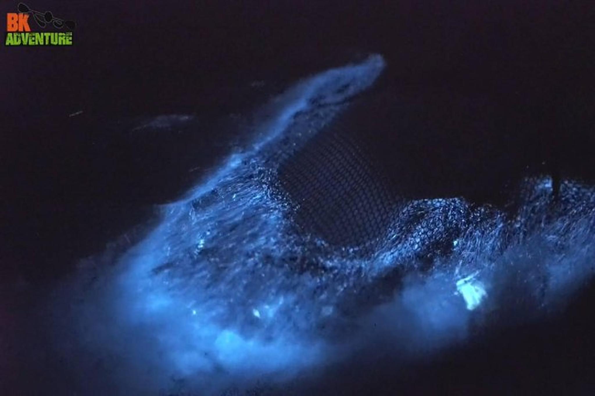 Merritt Island Bioluminescence Kayak Tour - Image 3