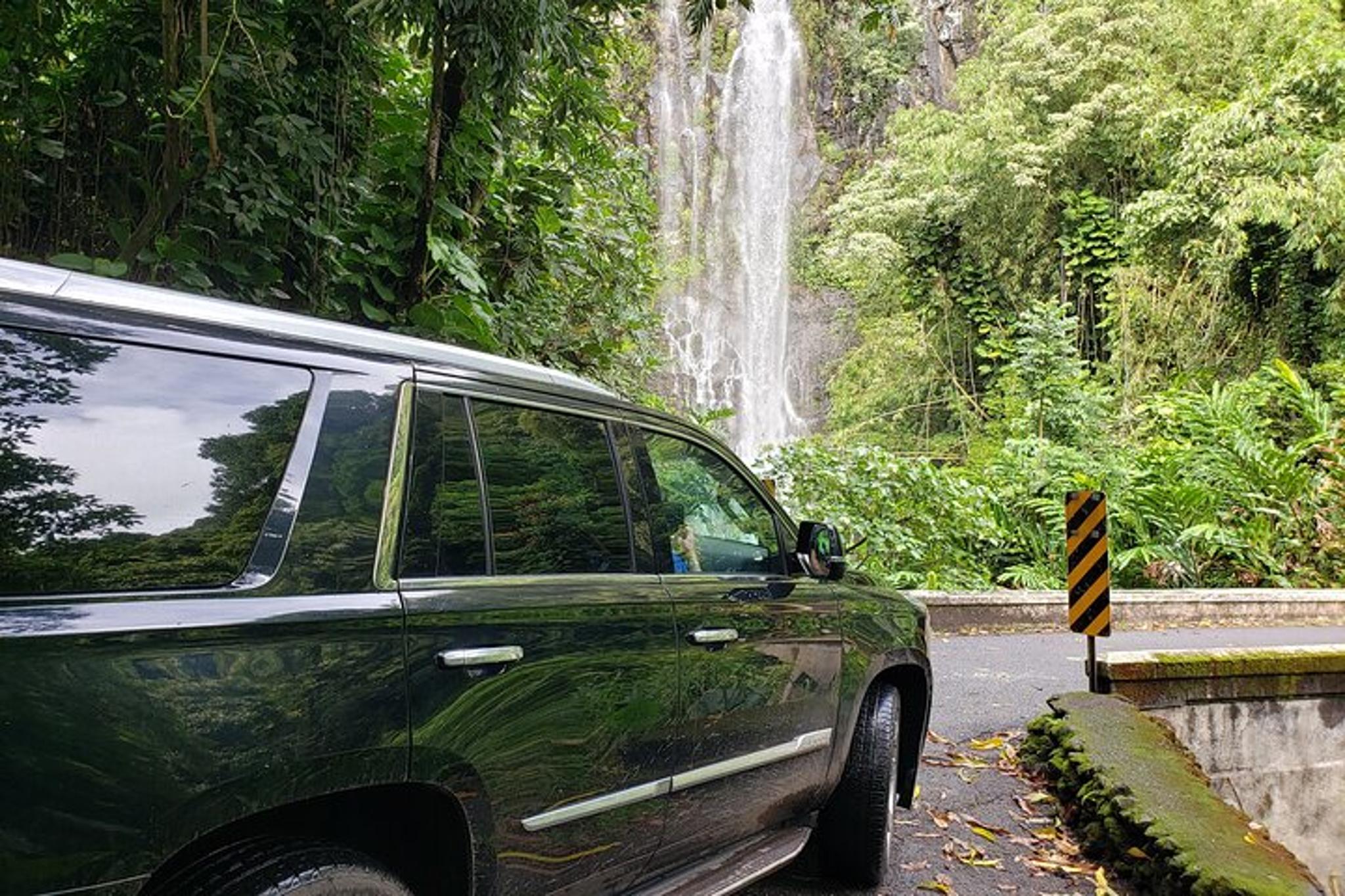 Maui Road to Hana Private Tour - Image 2