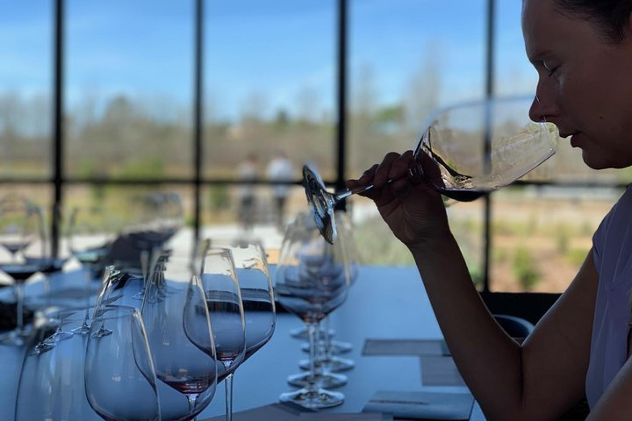 Santa Barbara Wine Tasting Tour - Image 3