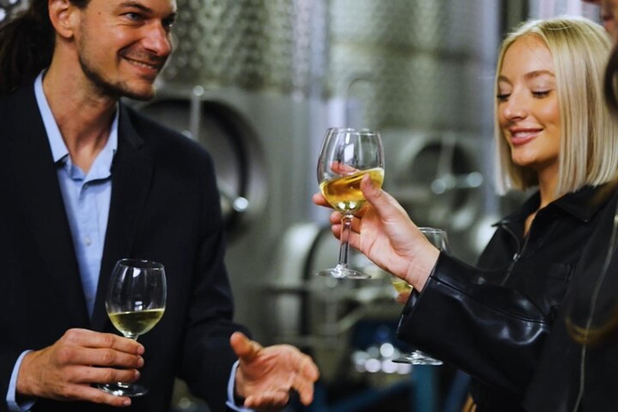 Chattanooga Wine Tasting and Art Tour - Image 6