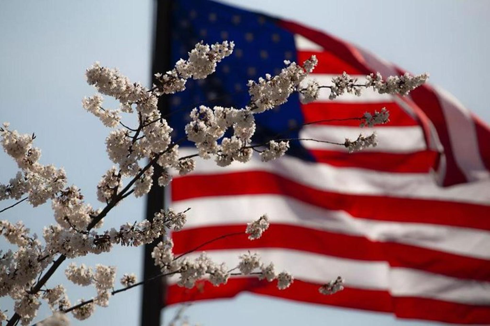 Washington, DC Van Tour to Honor Our Heroes - Image 3