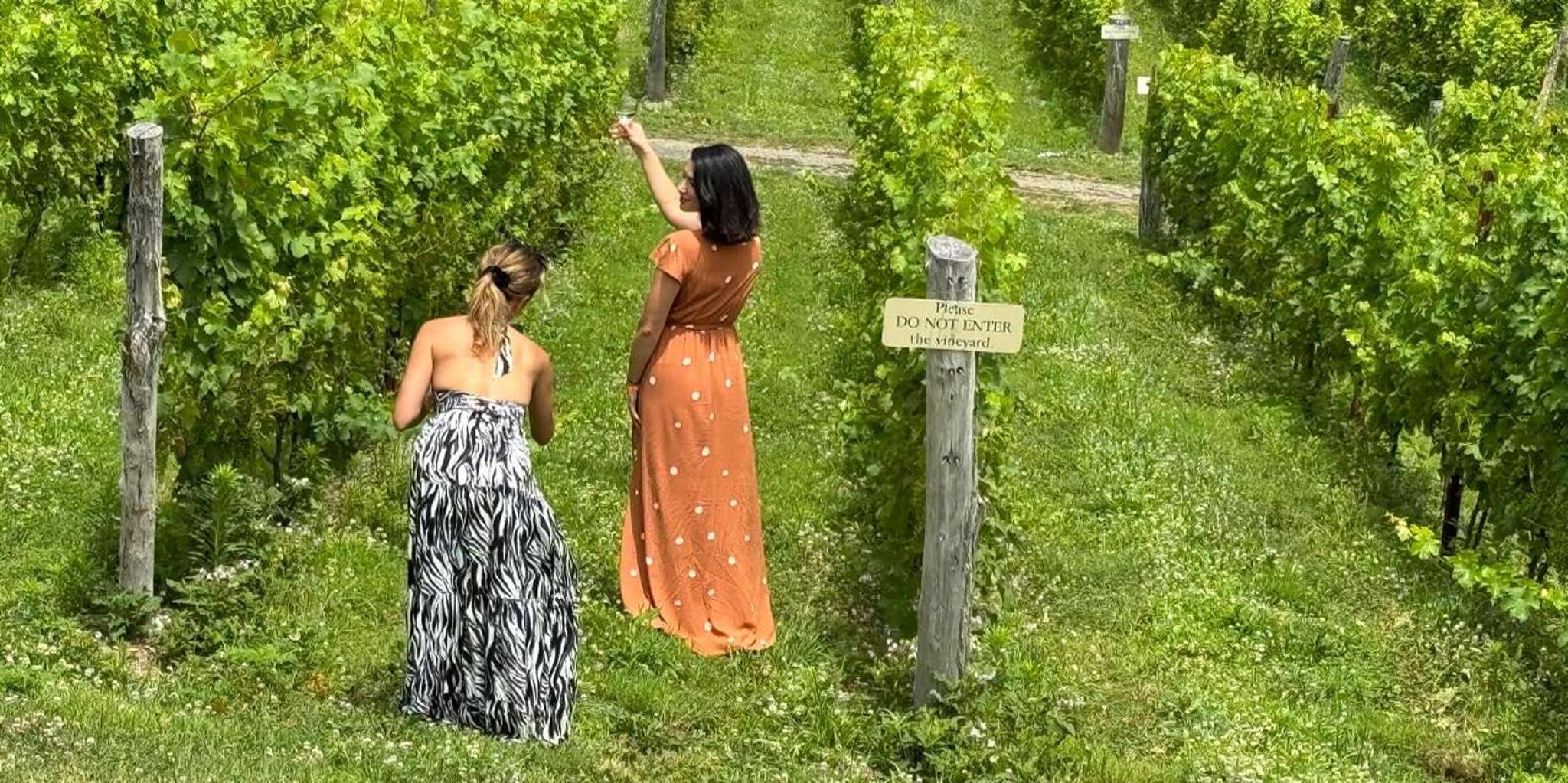 New York Hudson Valley Wine Tour with Sommelier - Image 6
