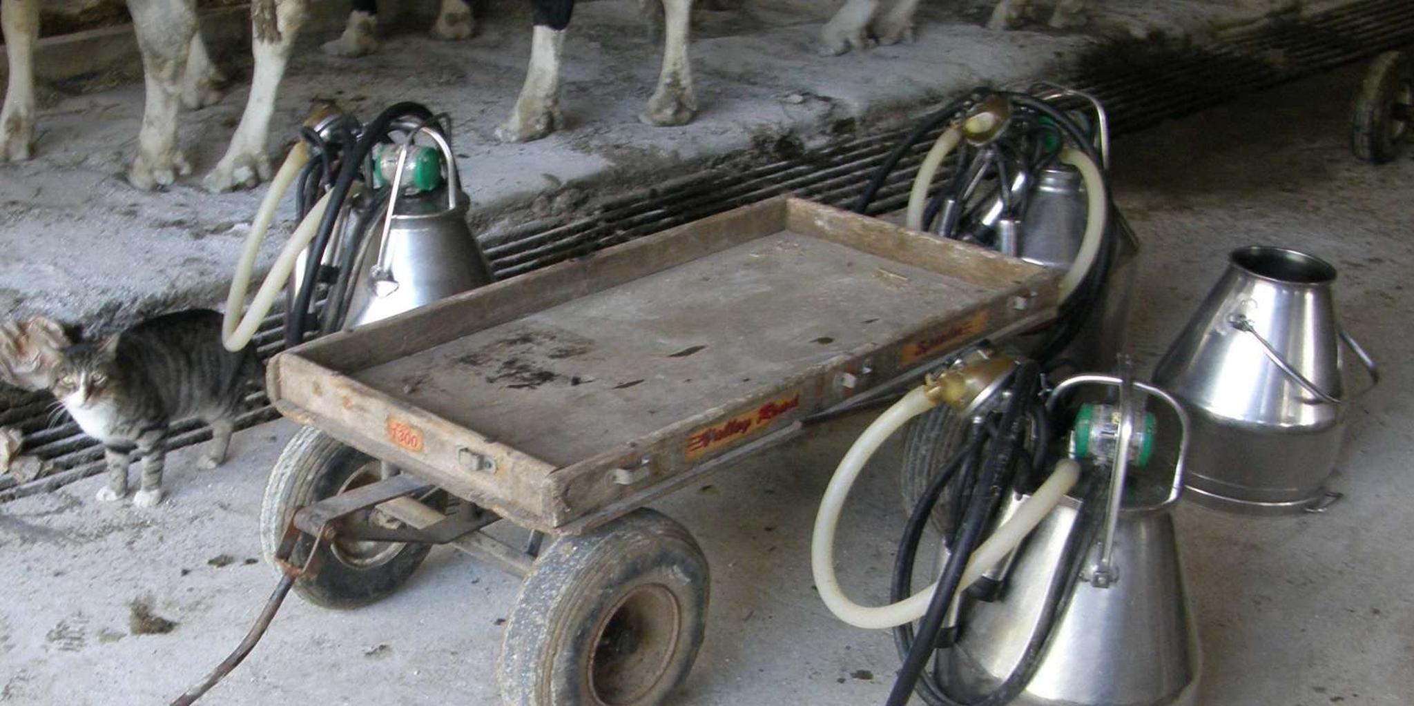 Lancaster Amish Experience Visit-in-Person Tour 3 hr - Image 4