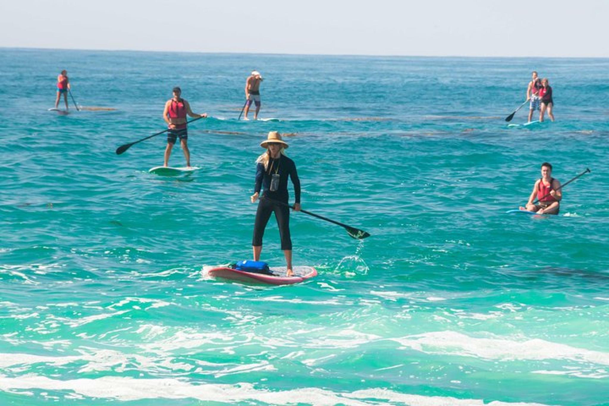 Laguna Beach SUP Lesson and Tour - Image 3