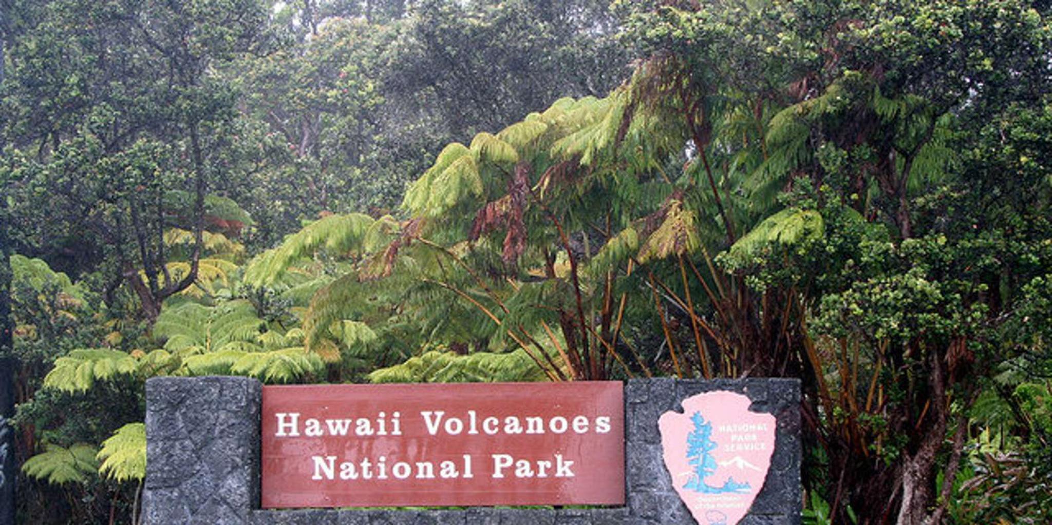 Hilo Volcano Adventure Tour - Image 4
