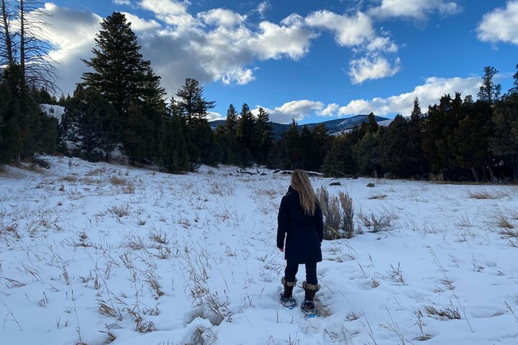 Paradise Valley Snowshoeing Tour - Image 2
