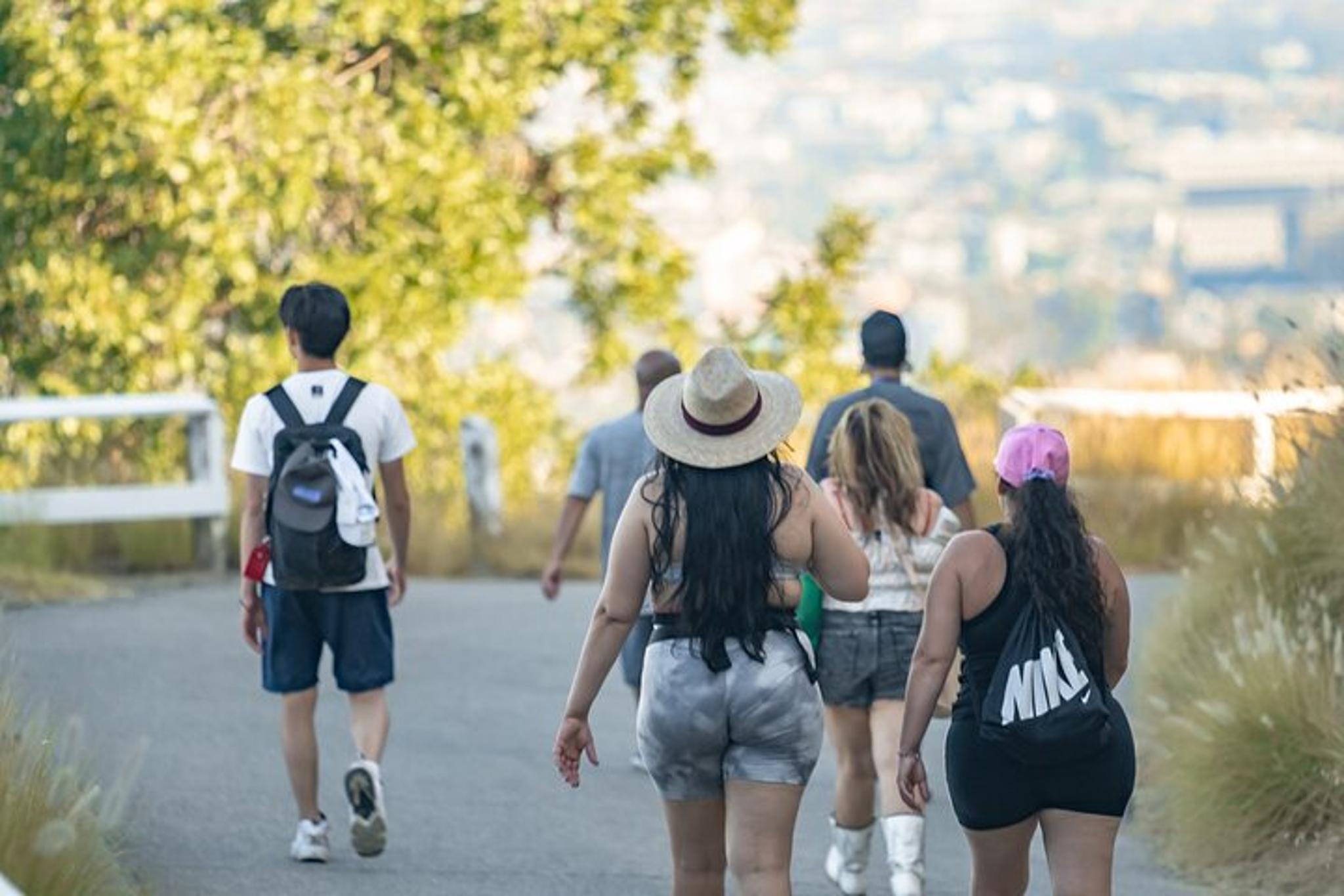 Los Angeles Hollywood Sign Hike - Image 4