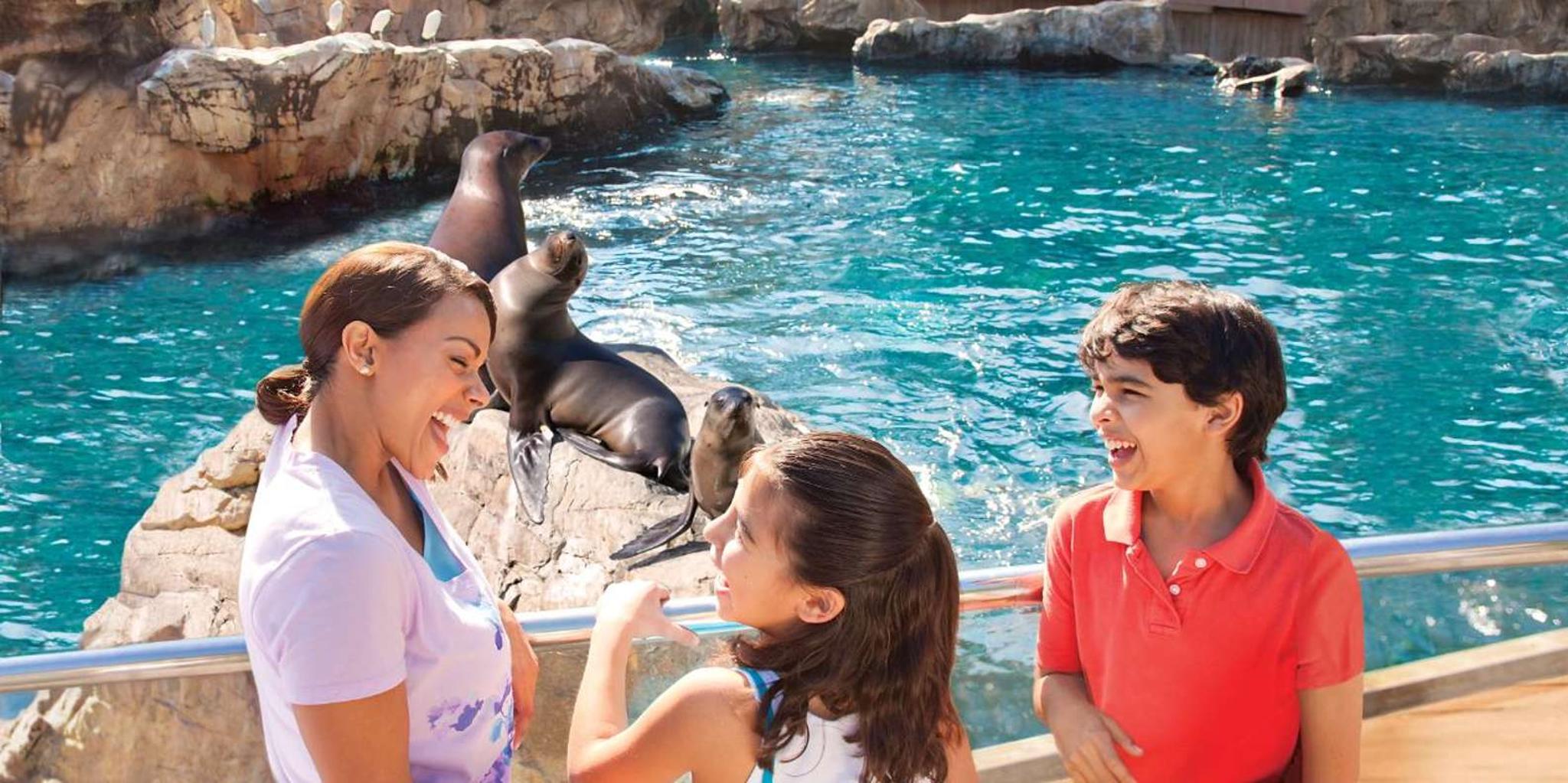 San Antonio SeaWorld Skip-the-Line Admission - Image 5