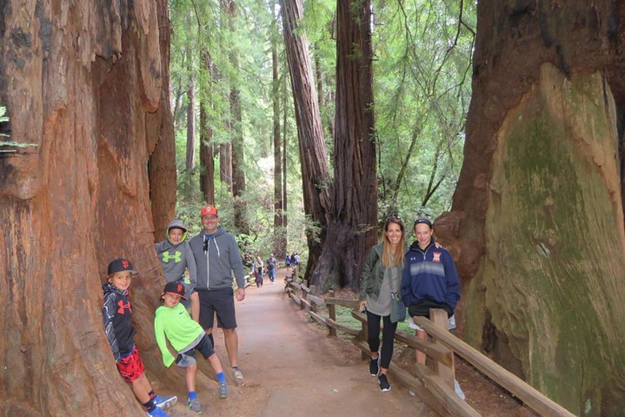 San Francisco Cheese Trail, Wine Country & Redwoods Tour - Image 6