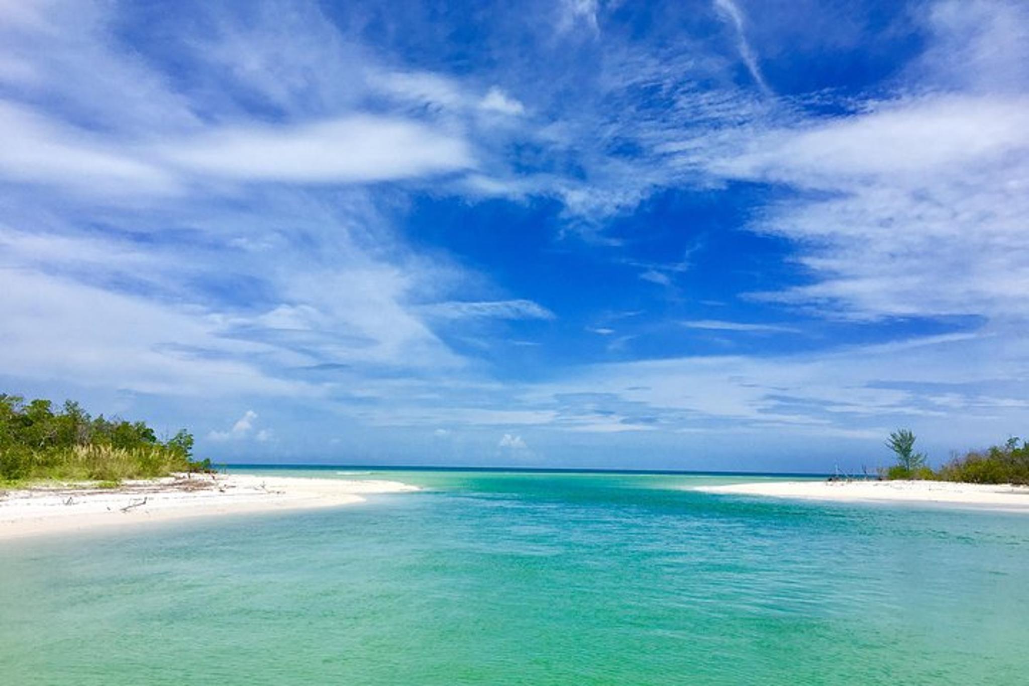 Marco Island Dolphin and Shelling Cruise 2.5 hr