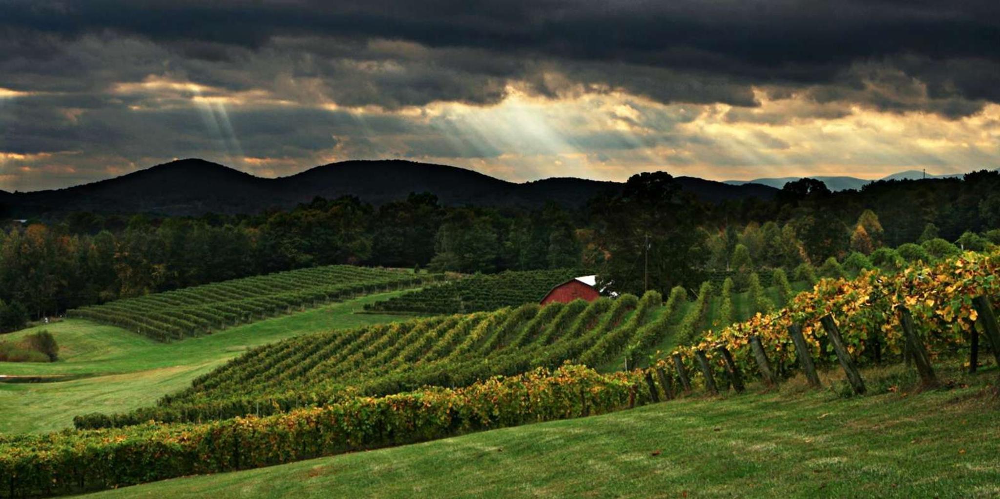 Atlanta North Georgia Wine Country Tour