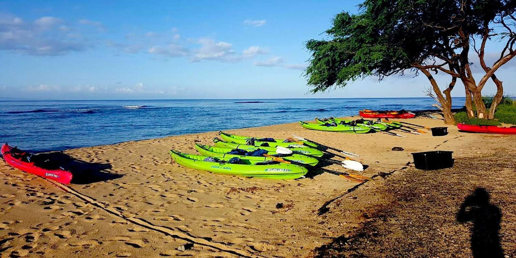 Maui Kayak & Snorkel Tour at Ukumehame - 3 hr - Image 2