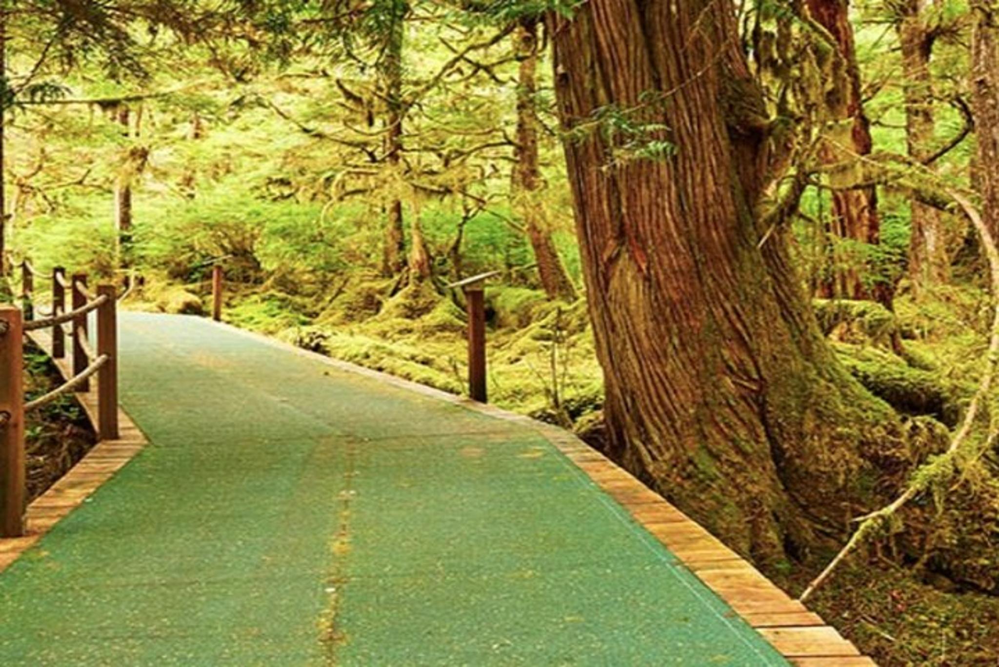 Ketchikan Shore Excursion: Silverking Lodge Adventure & Seafeast - Image 4