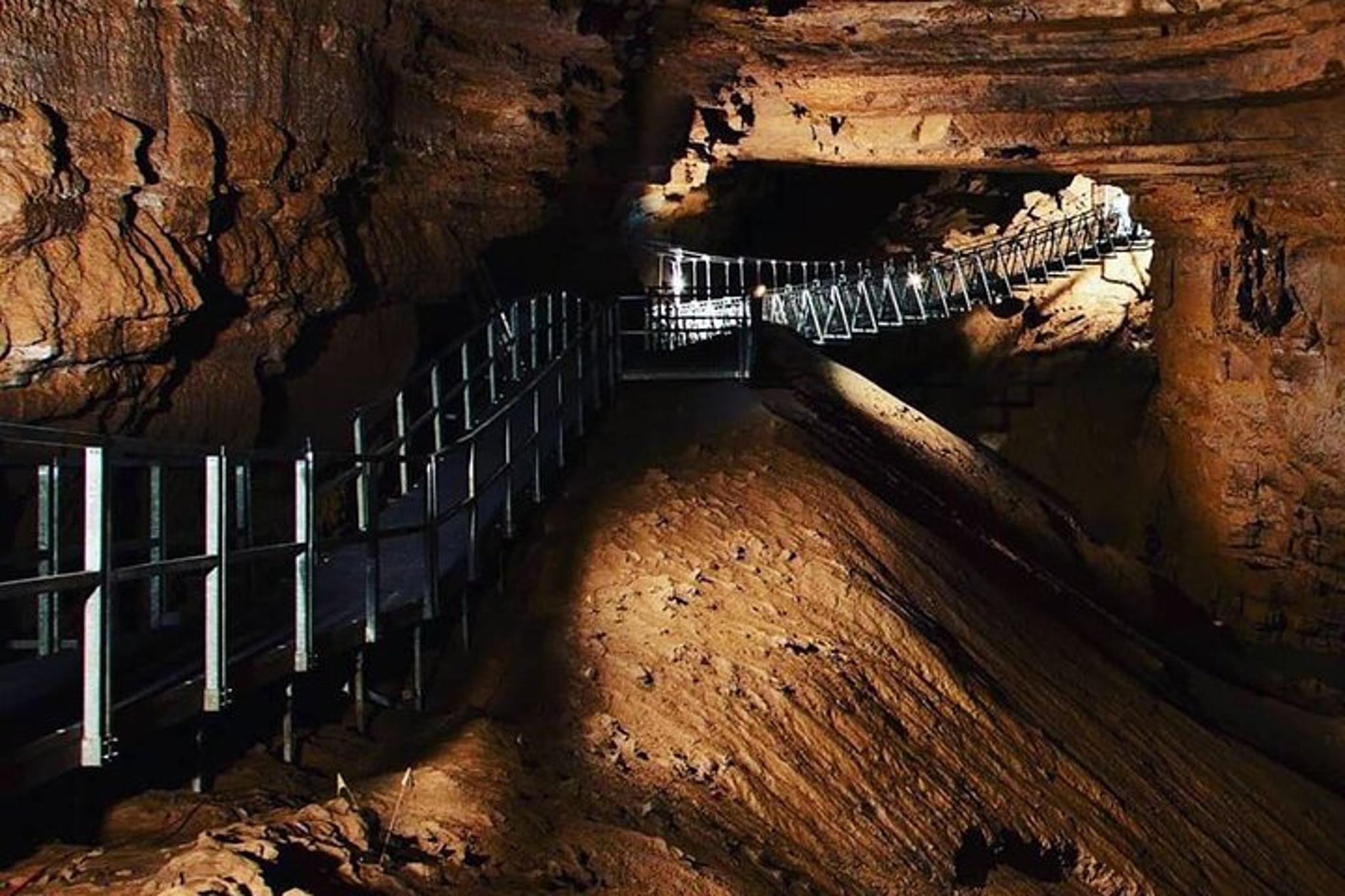 Nashville Kentucky Caves and Kangaroos Day Tour - Image 3