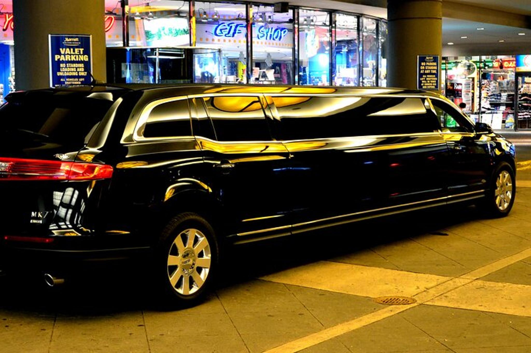 New York City Private Limousine Tour - Image 4