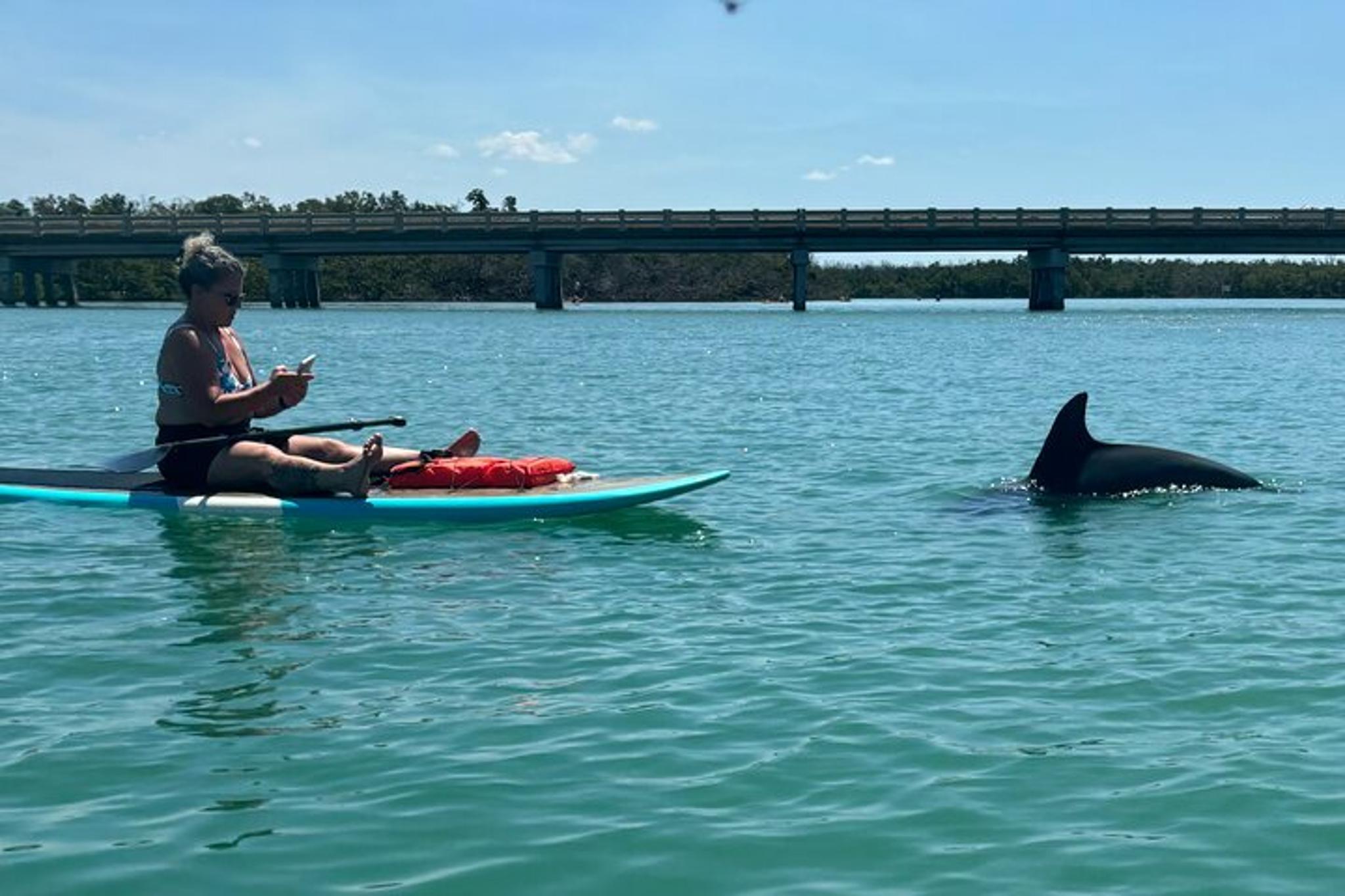 Naples Dolphin and Manatee Adventure Tour - Image 3