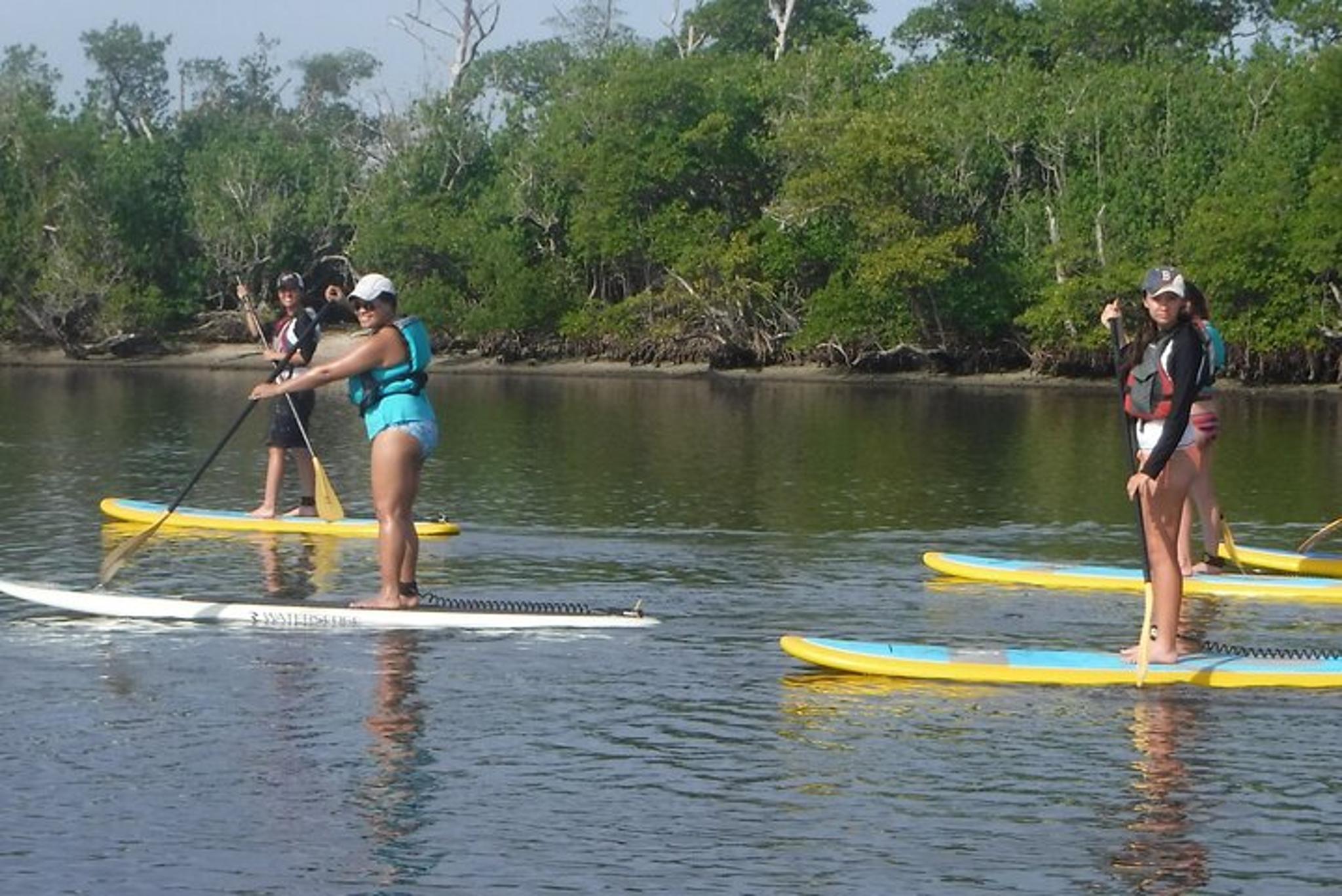 Naples Paddle Board Rental Full-Day - Image 4