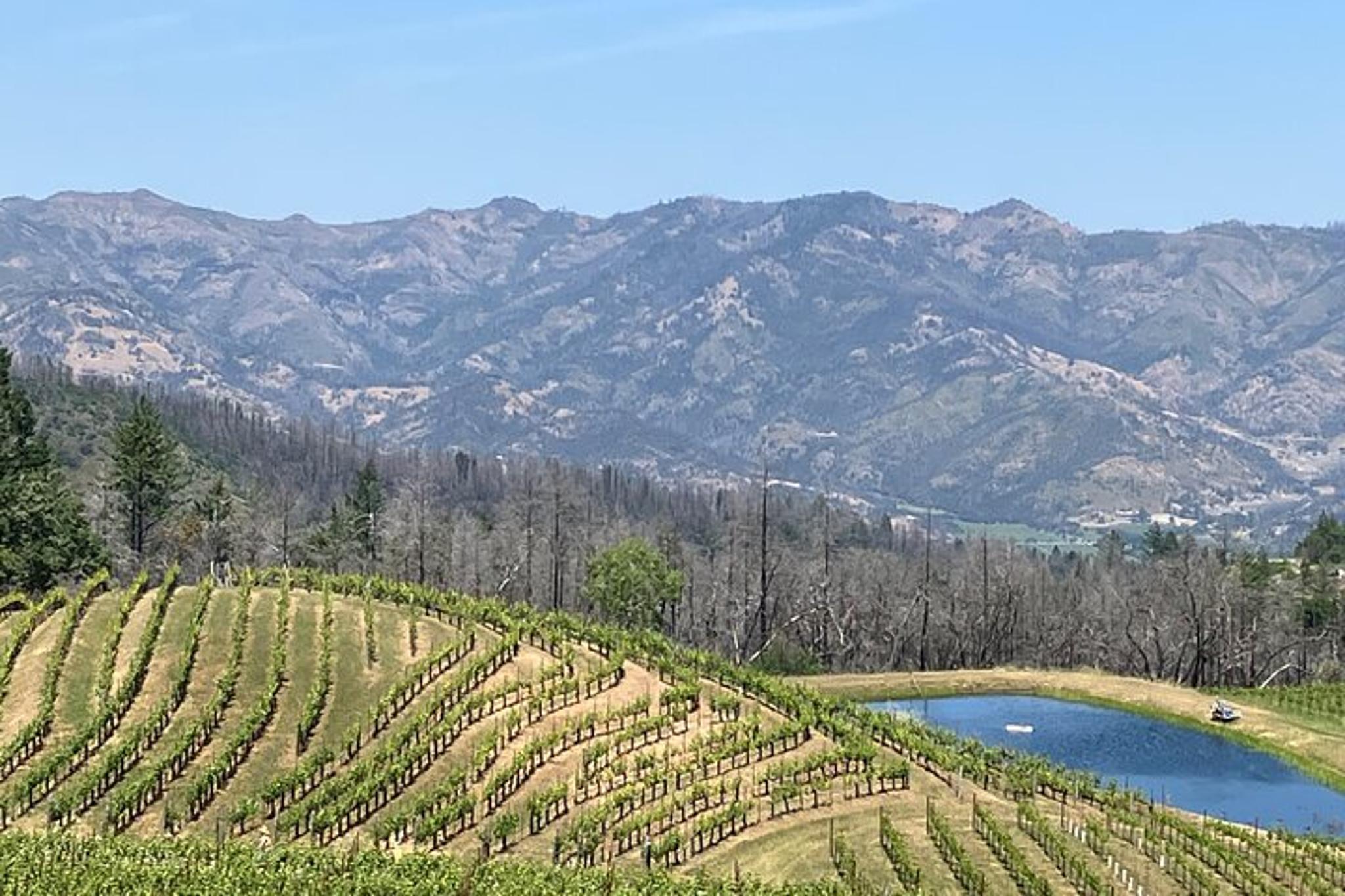 Napa Valley-Sonoma Private Wine Tour - Image 6