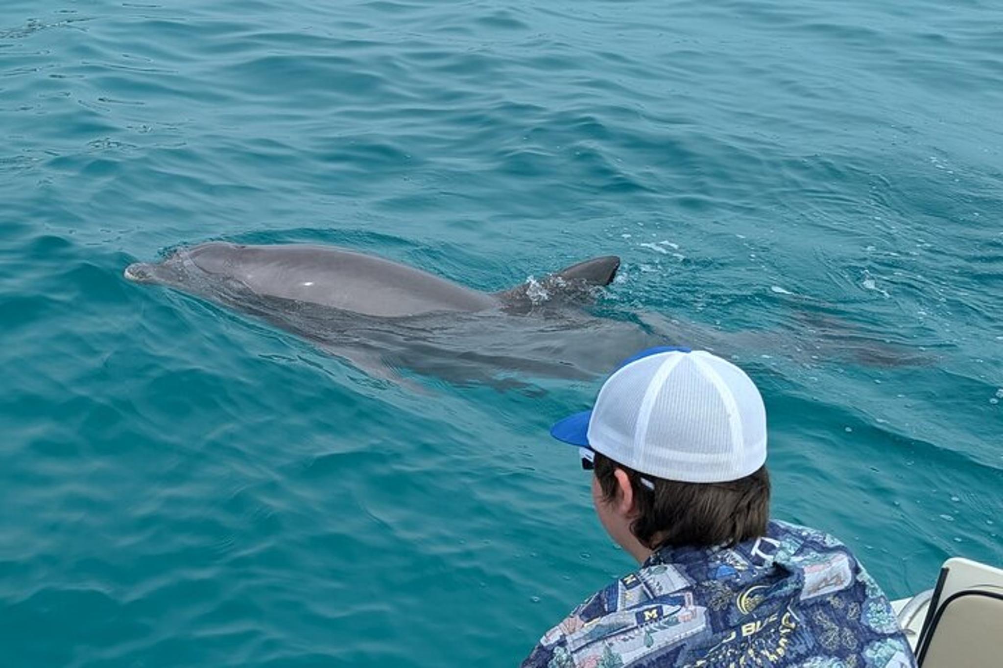 Panama City Dolphin Sightseeing Adventure