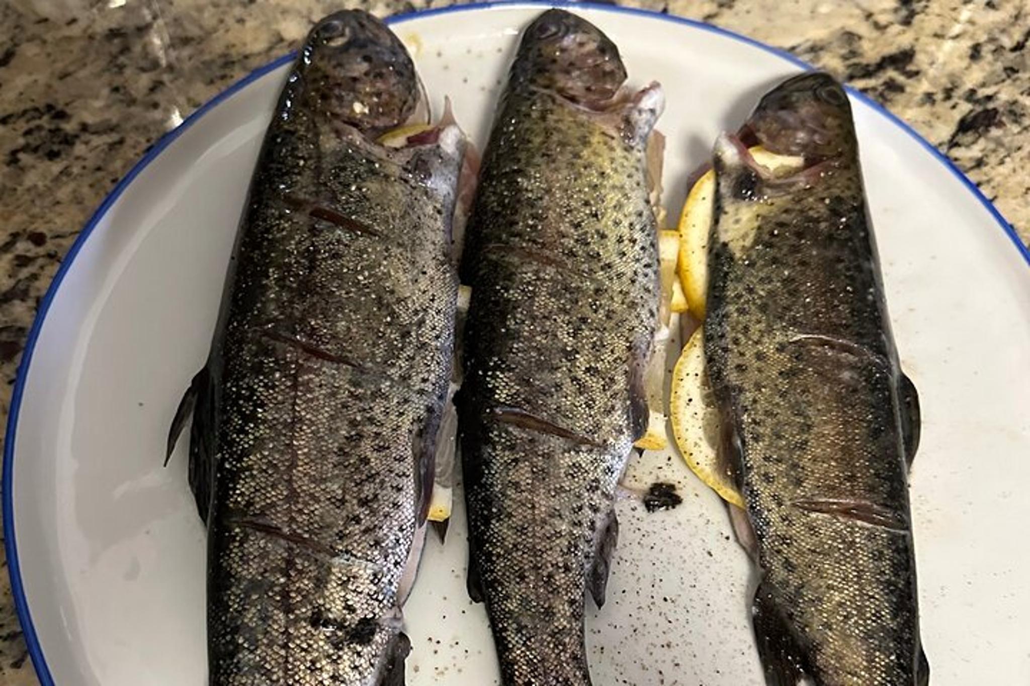 Virginia Trout Fishing Excursion - Image 5