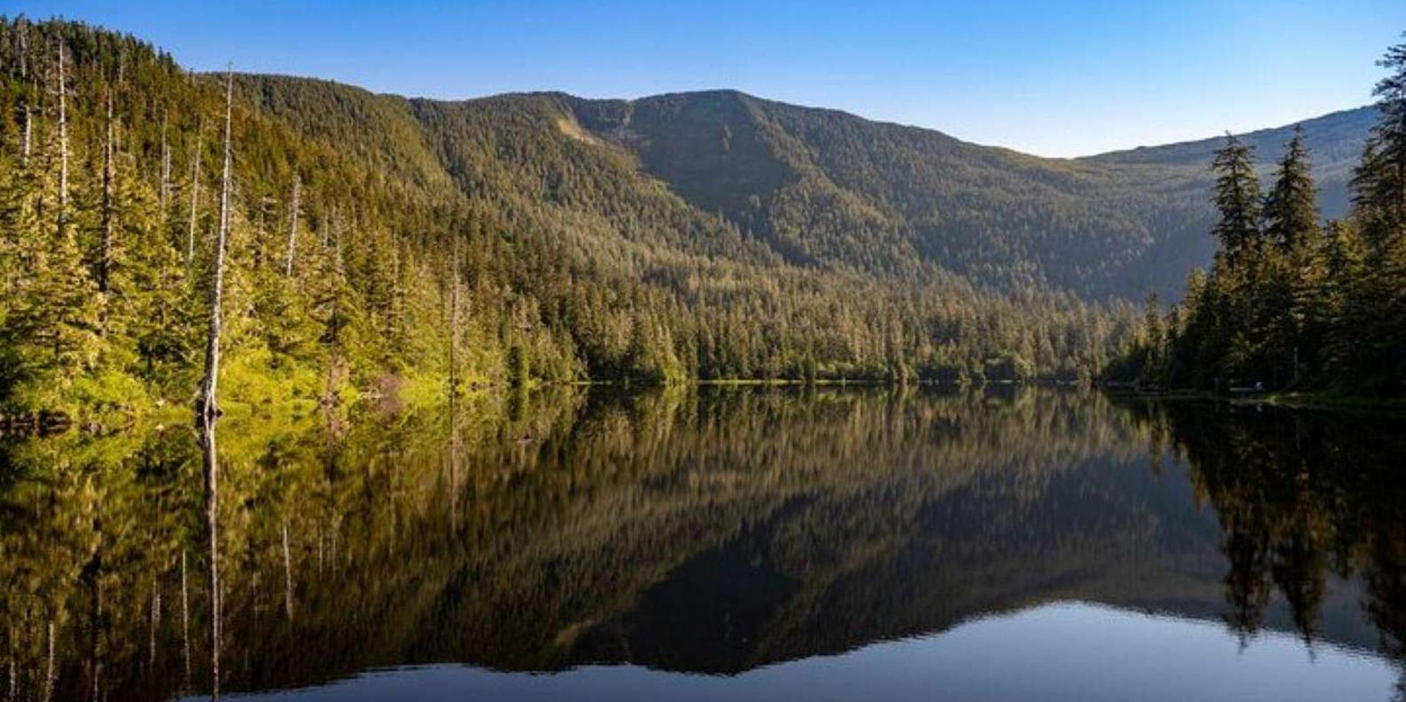 Ketchikan Mountain Lake Trek