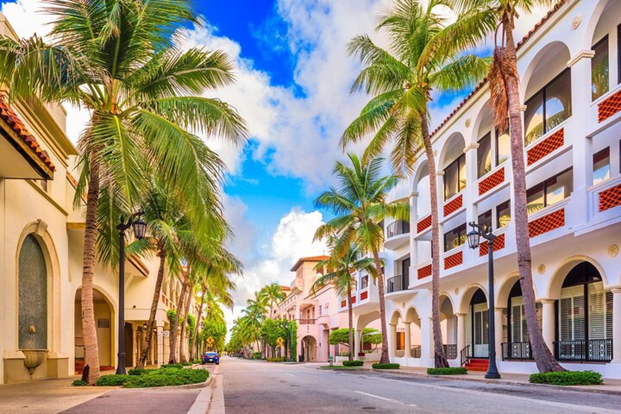 Palm Beach Private Airport Transfer - Image 4