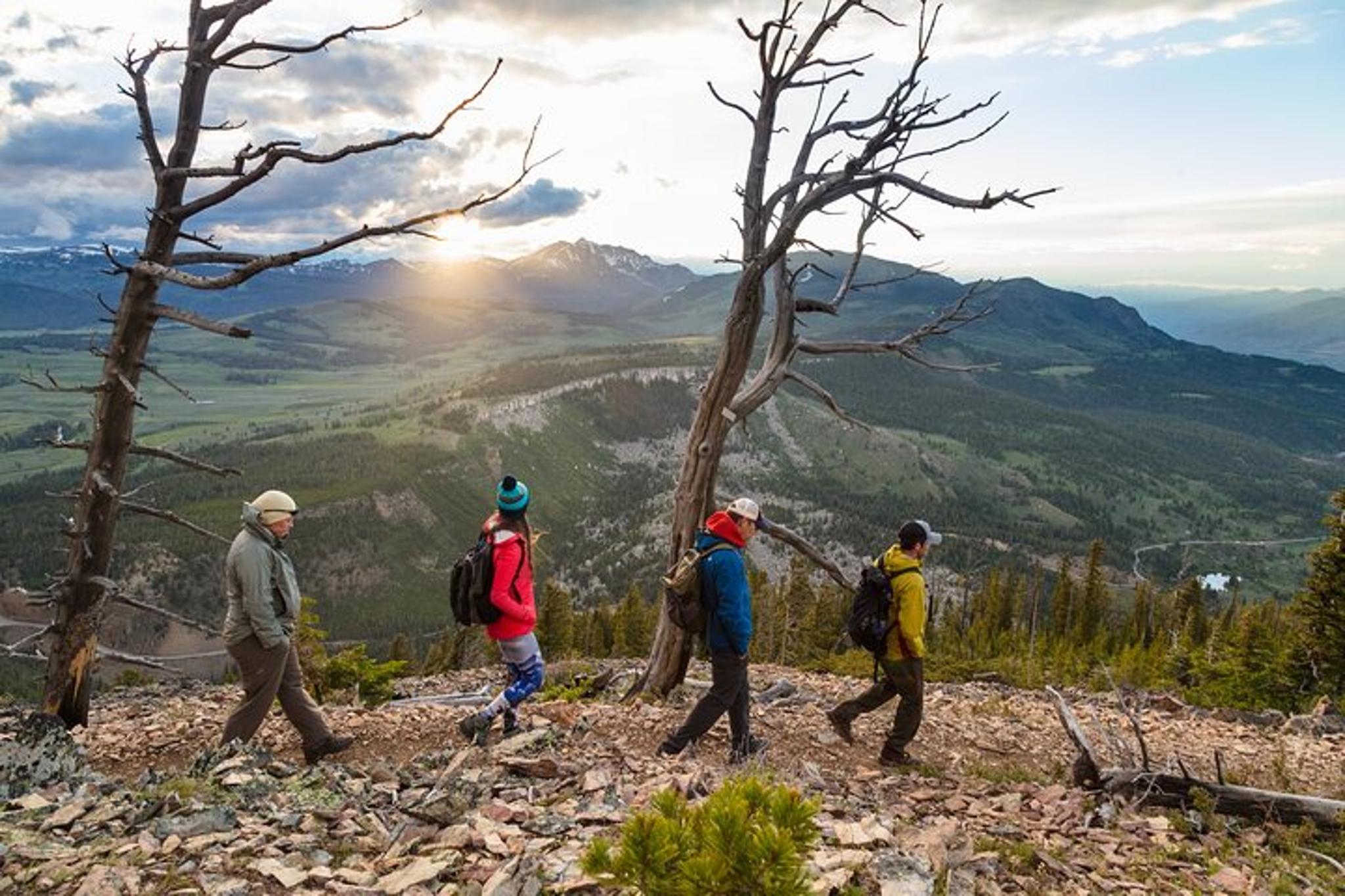 Yellowstone Bunsen Peak Loop Naturalist Hike - Image 4