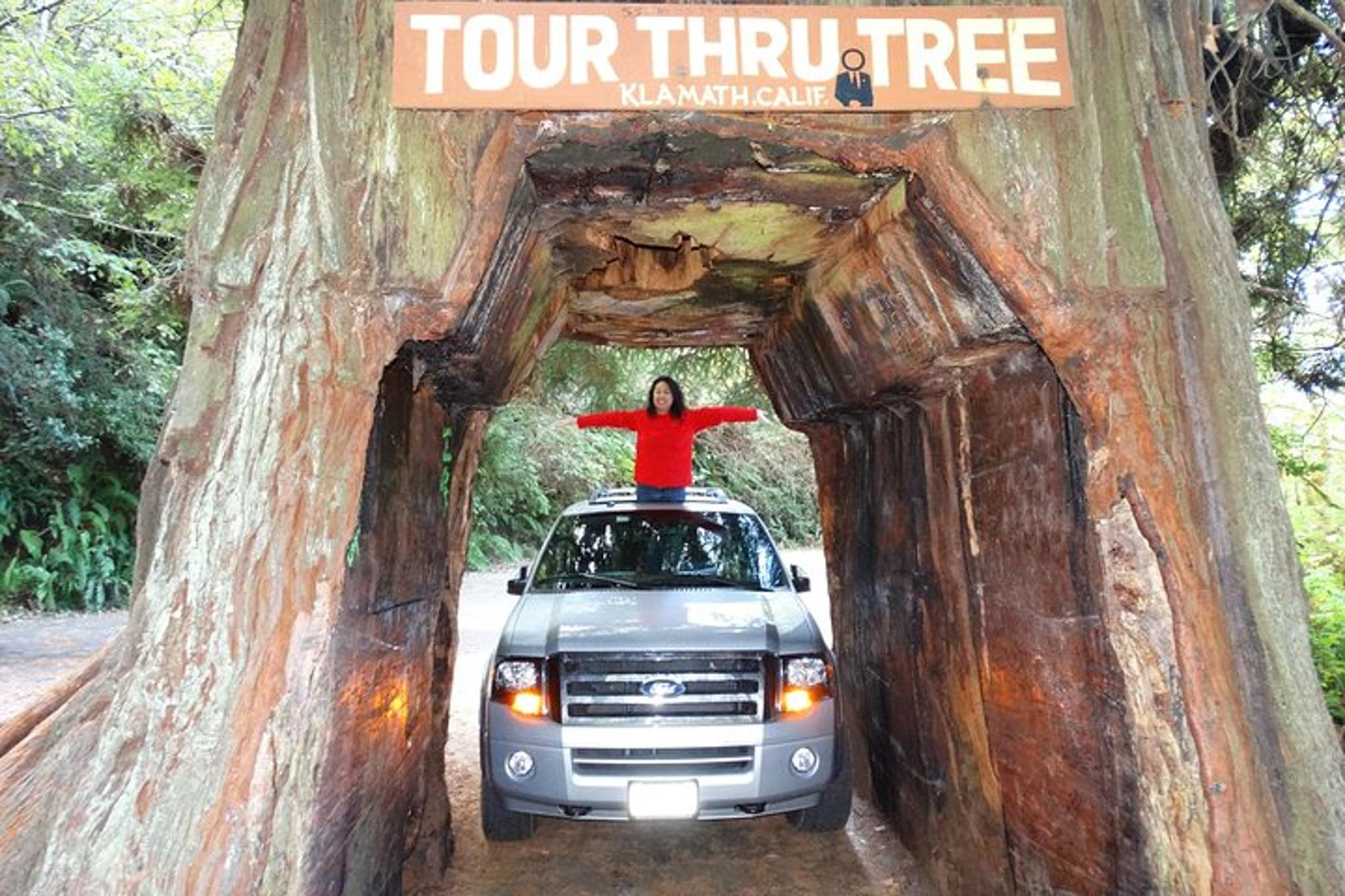 San Francisco Redwood National Park Private Tour 2-Day - Image 2