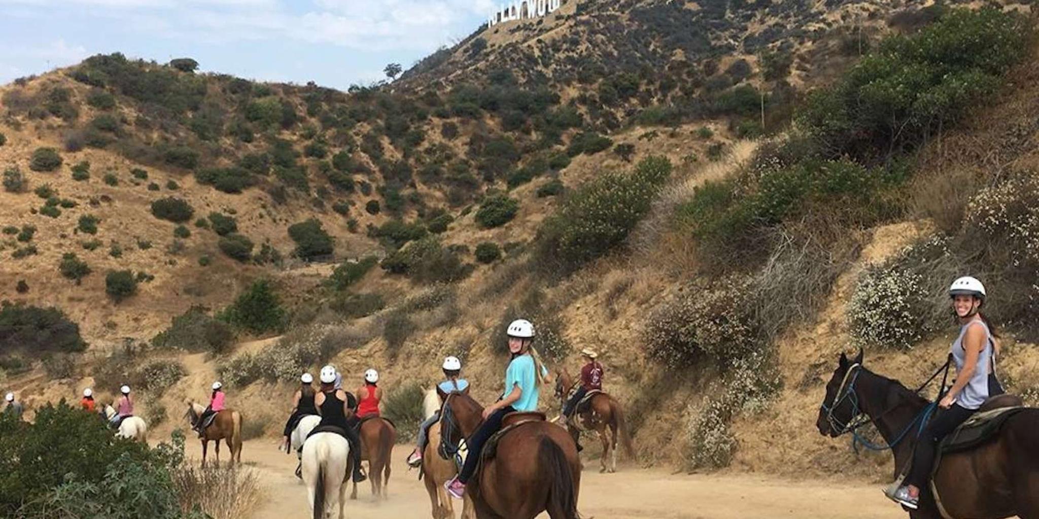 Los Angeles Mulholland Trail Horseback Riding Tour - Image 4