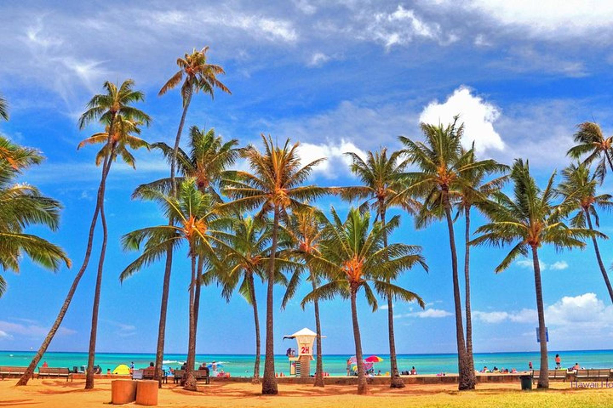 Honolulu Hoverboarding Tour in Diamond Head - Image 5