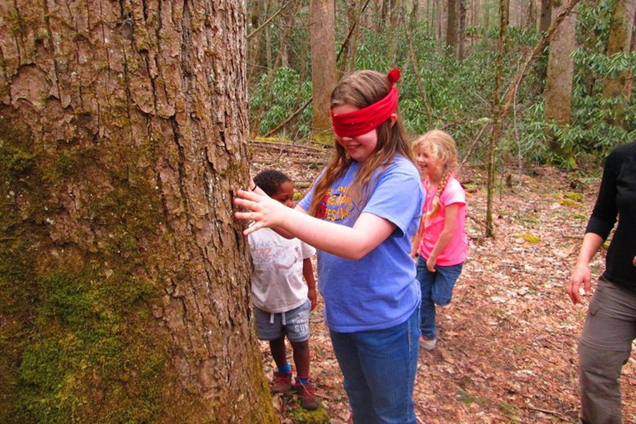 Gatlinburg Nature Exploration Tour - Image 3