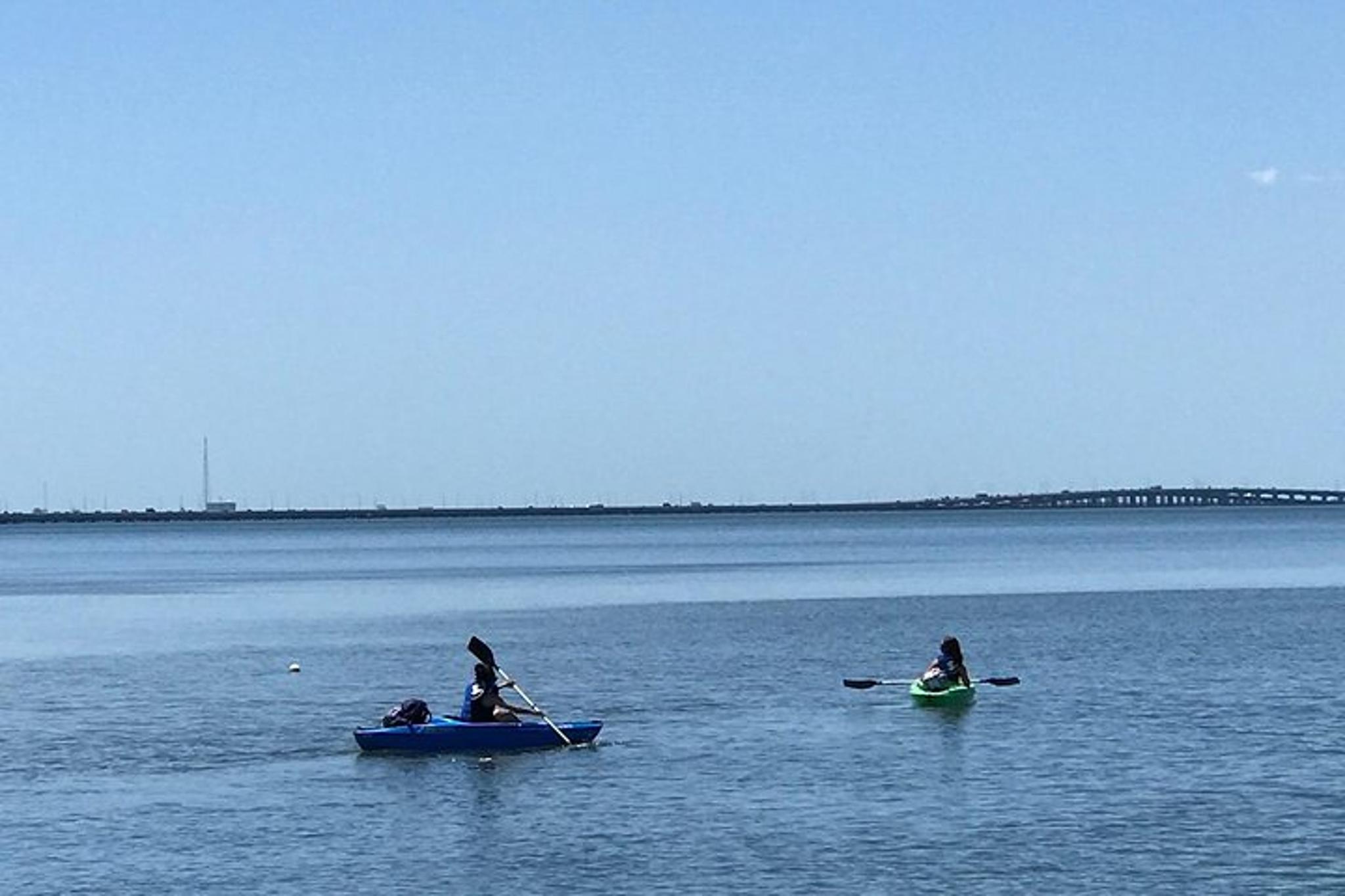 Tampa Stand Up Paddle Board Rental - Image 3
