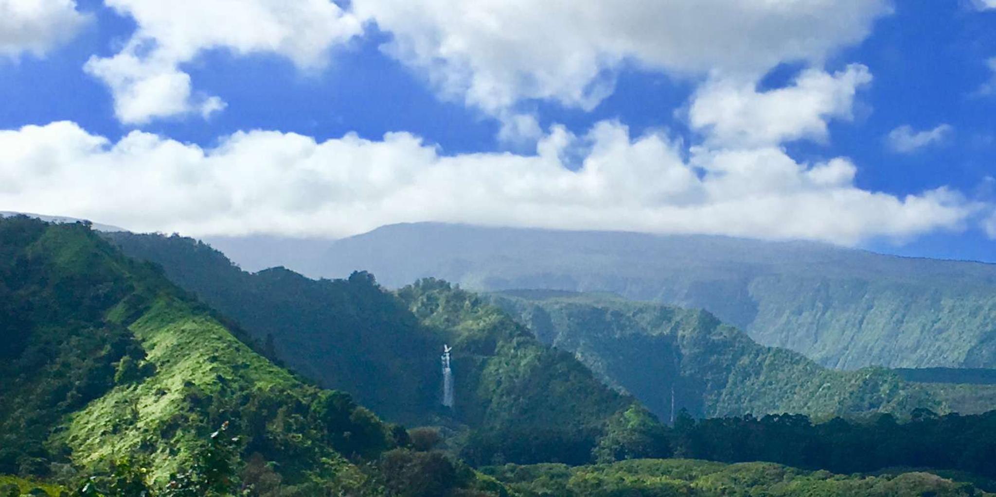 East Maui Rainforest and Road to Hana Tour - Image 5