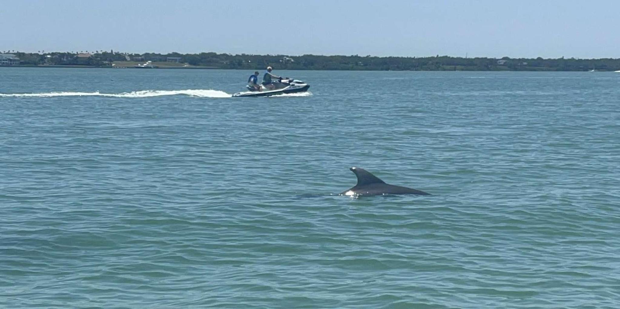 Indian Rocks Beach Jet Ski Adventure