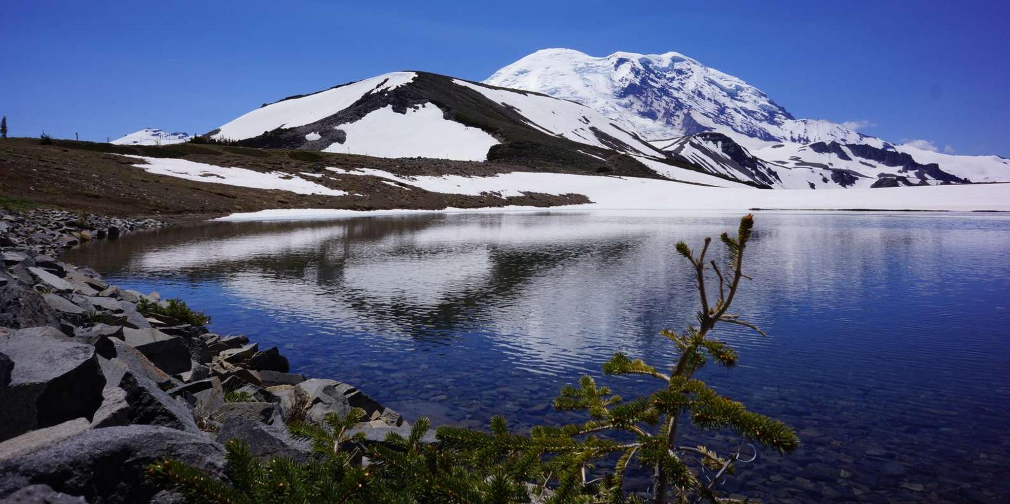 Mount Rainier Day Hike on Three Burroughs Trail - Image 4