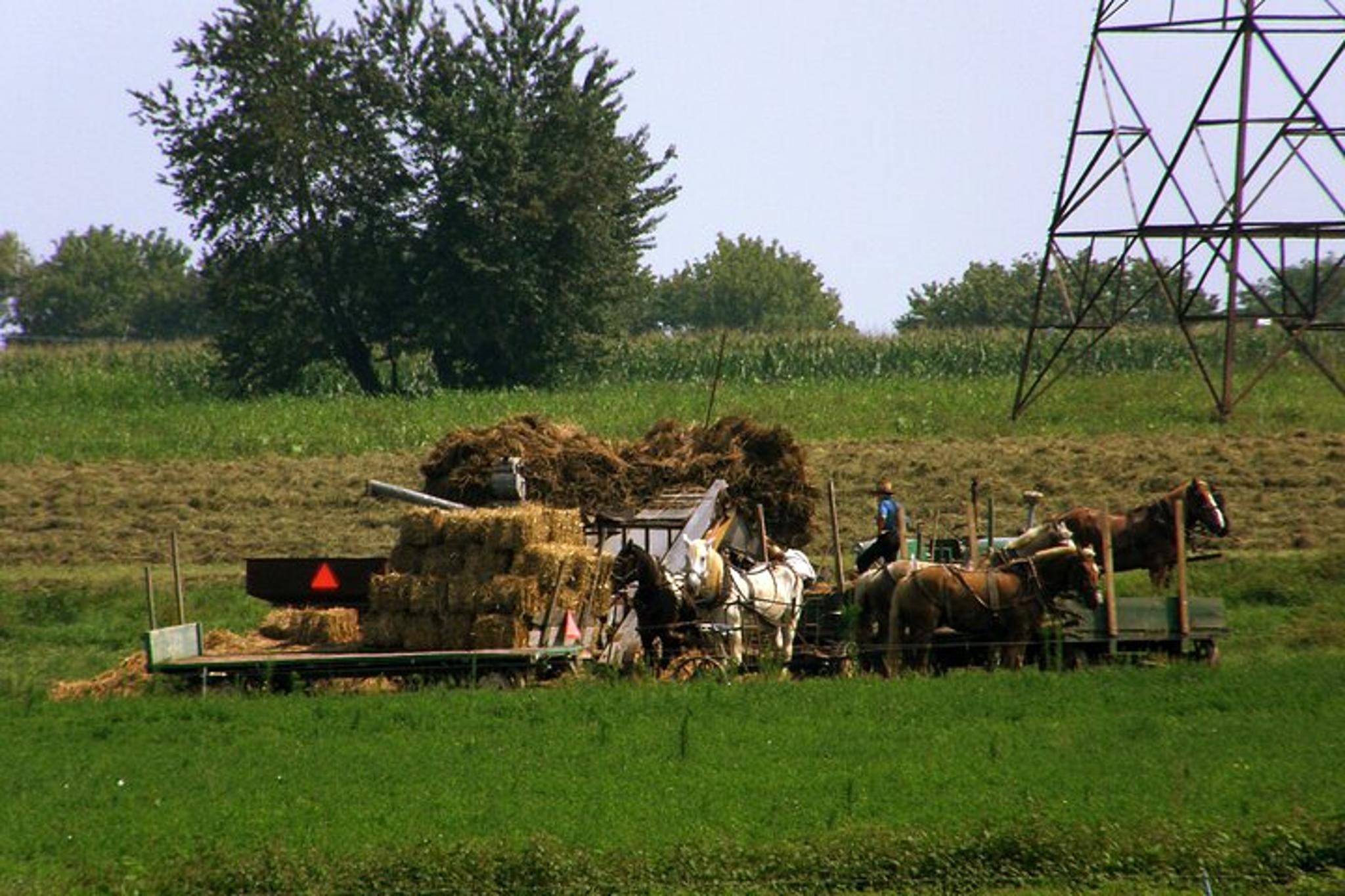 Lancaster Amish Home Meal Experience - Image 5