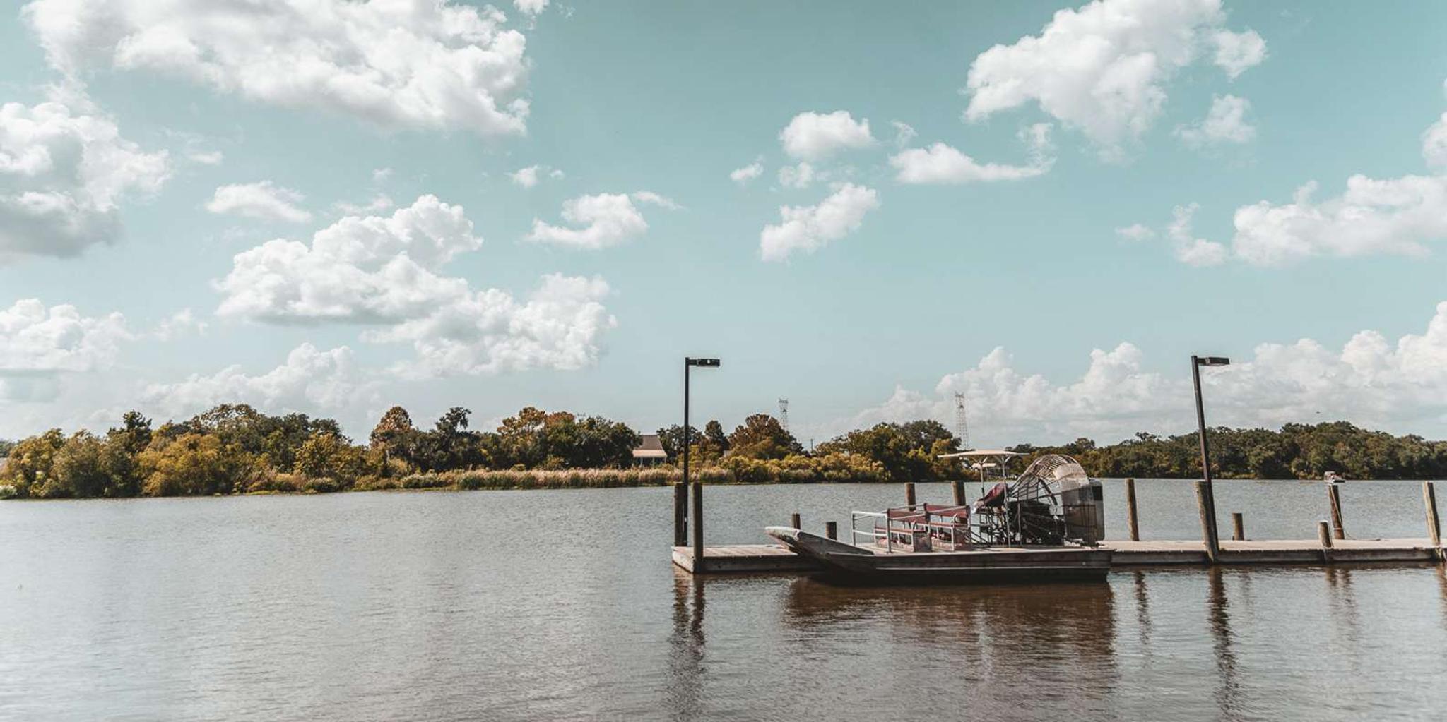 New Orleans Airboat Swamp Tour - Image 2