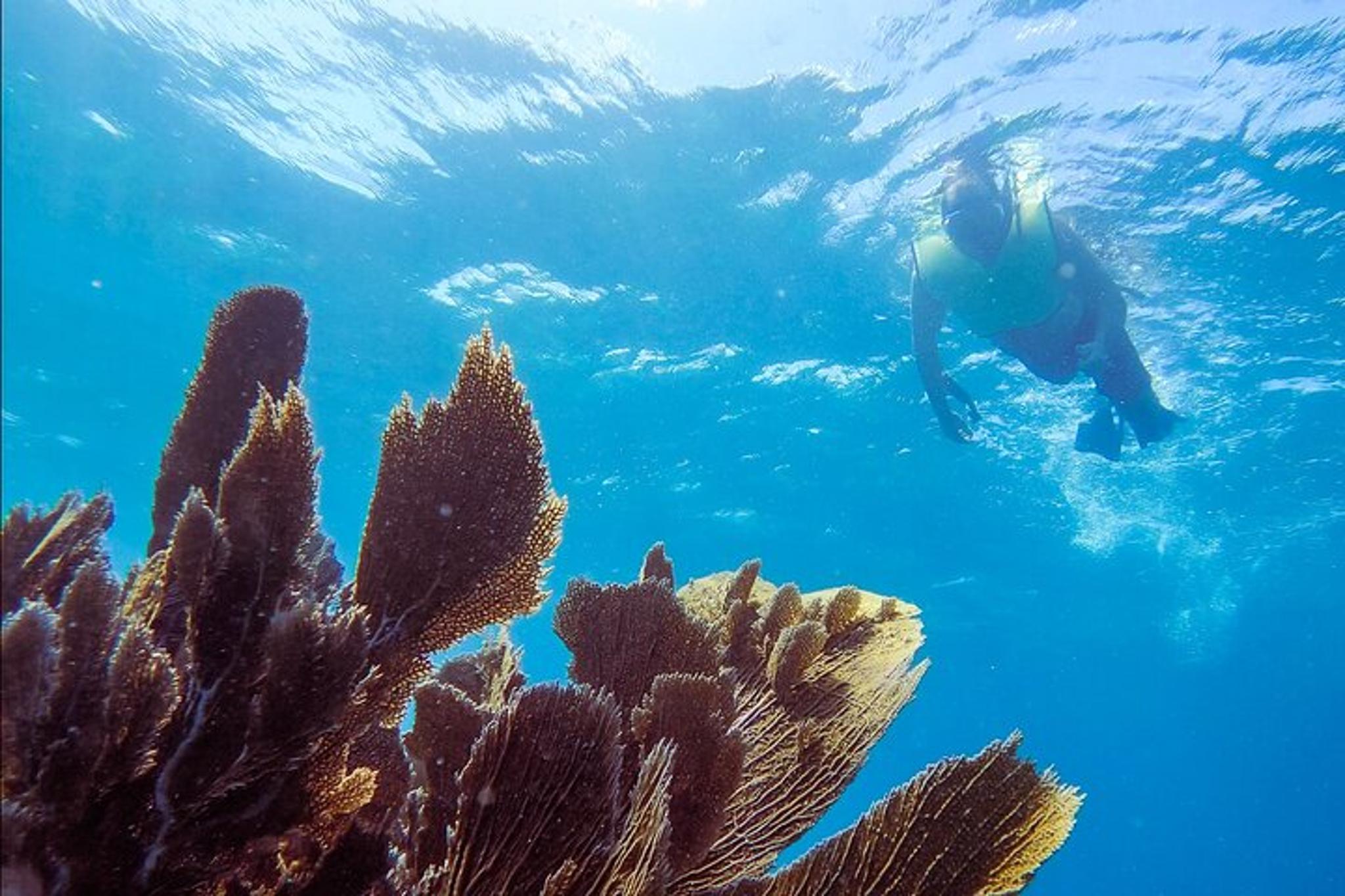 Key Largo Shallow Scuba Diving Trip - Image 5