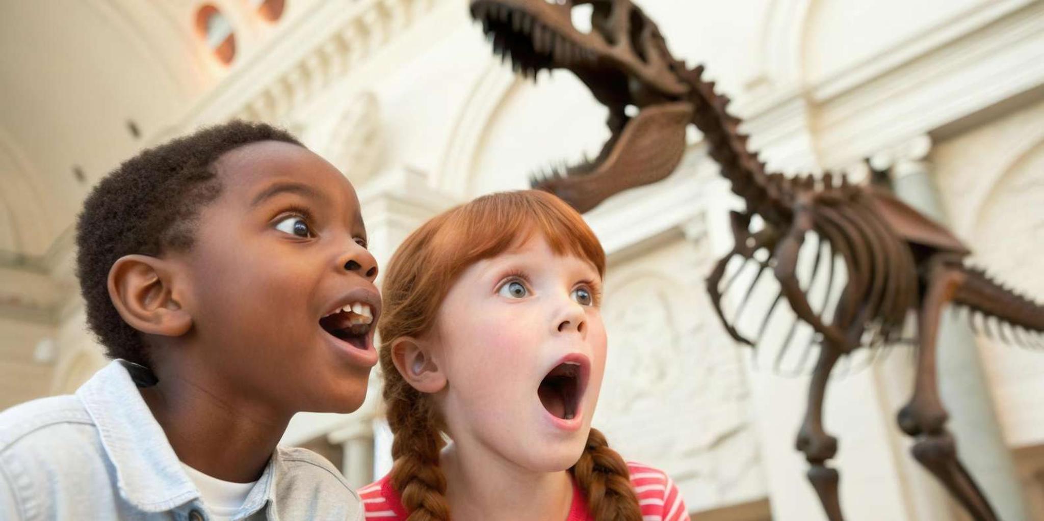 Washington DC Smithsonian Natural History Private Tour - Image 2