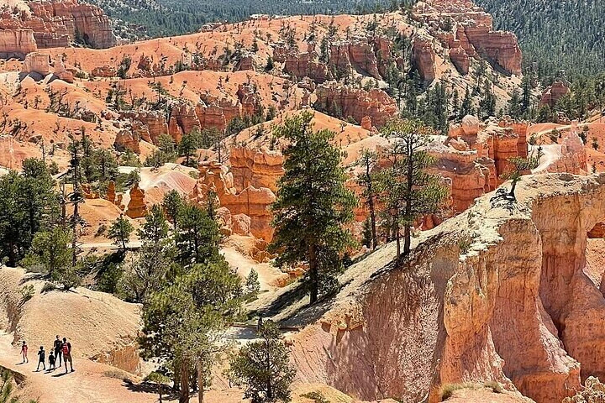 Las Vegas Bryce Canyon & Zion National Park Tour - Image 4