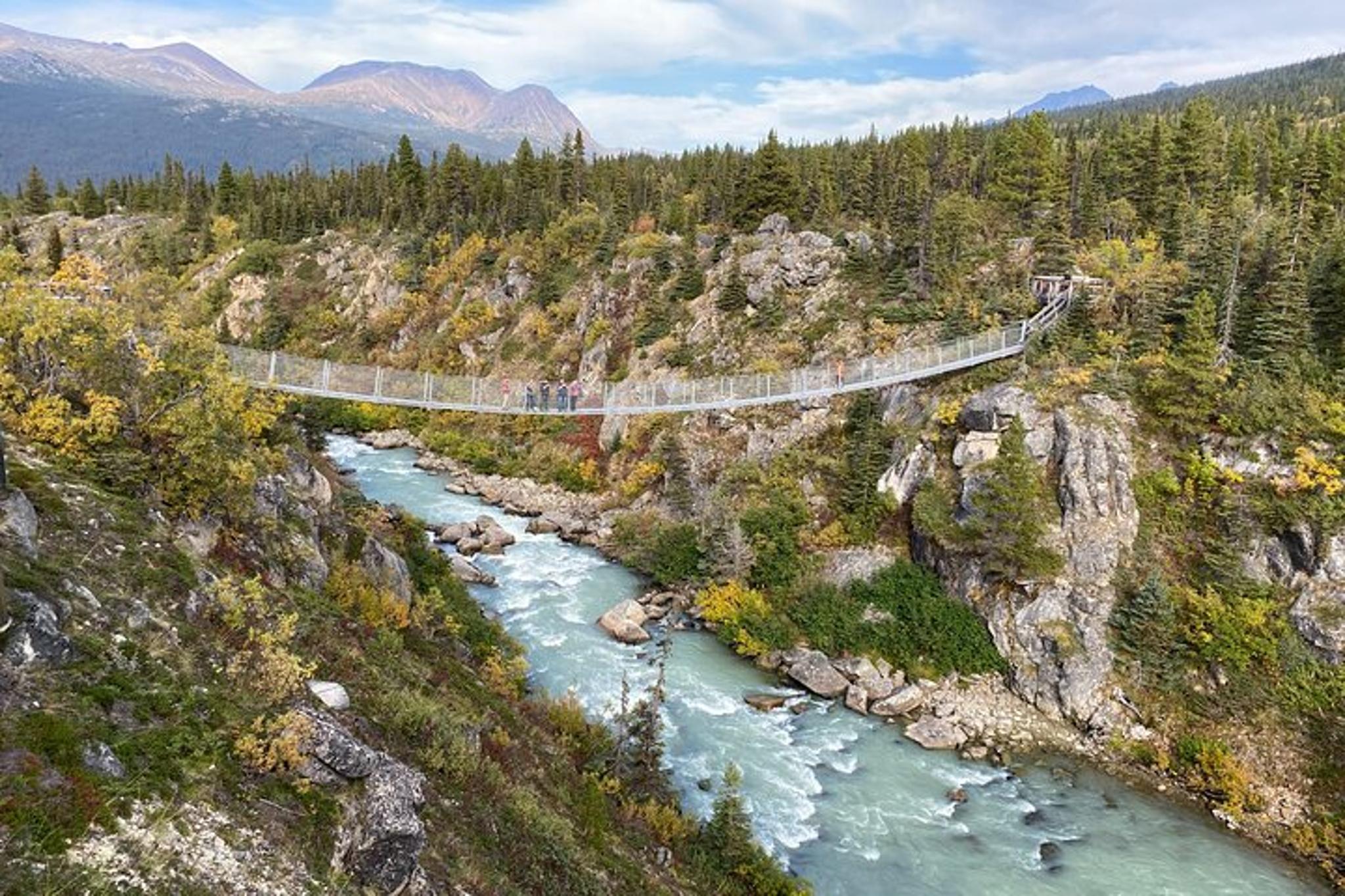 Skagway Suspension Bridge and Valley Tour